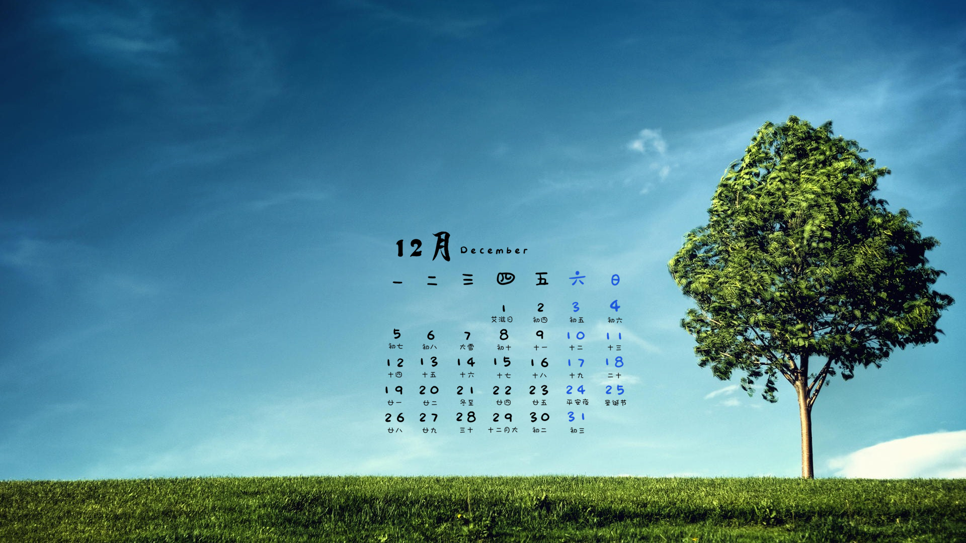 12月 小清新 树 草地