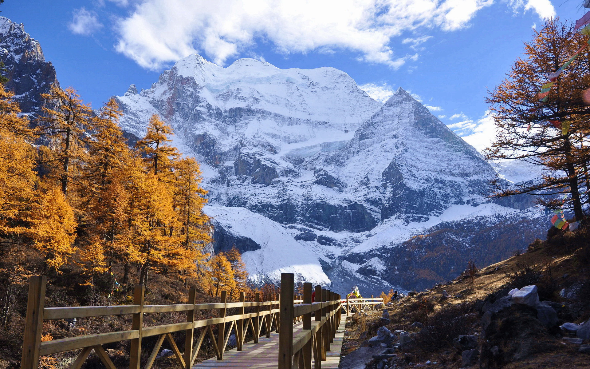 风景 枫叶 雪山 新都桥