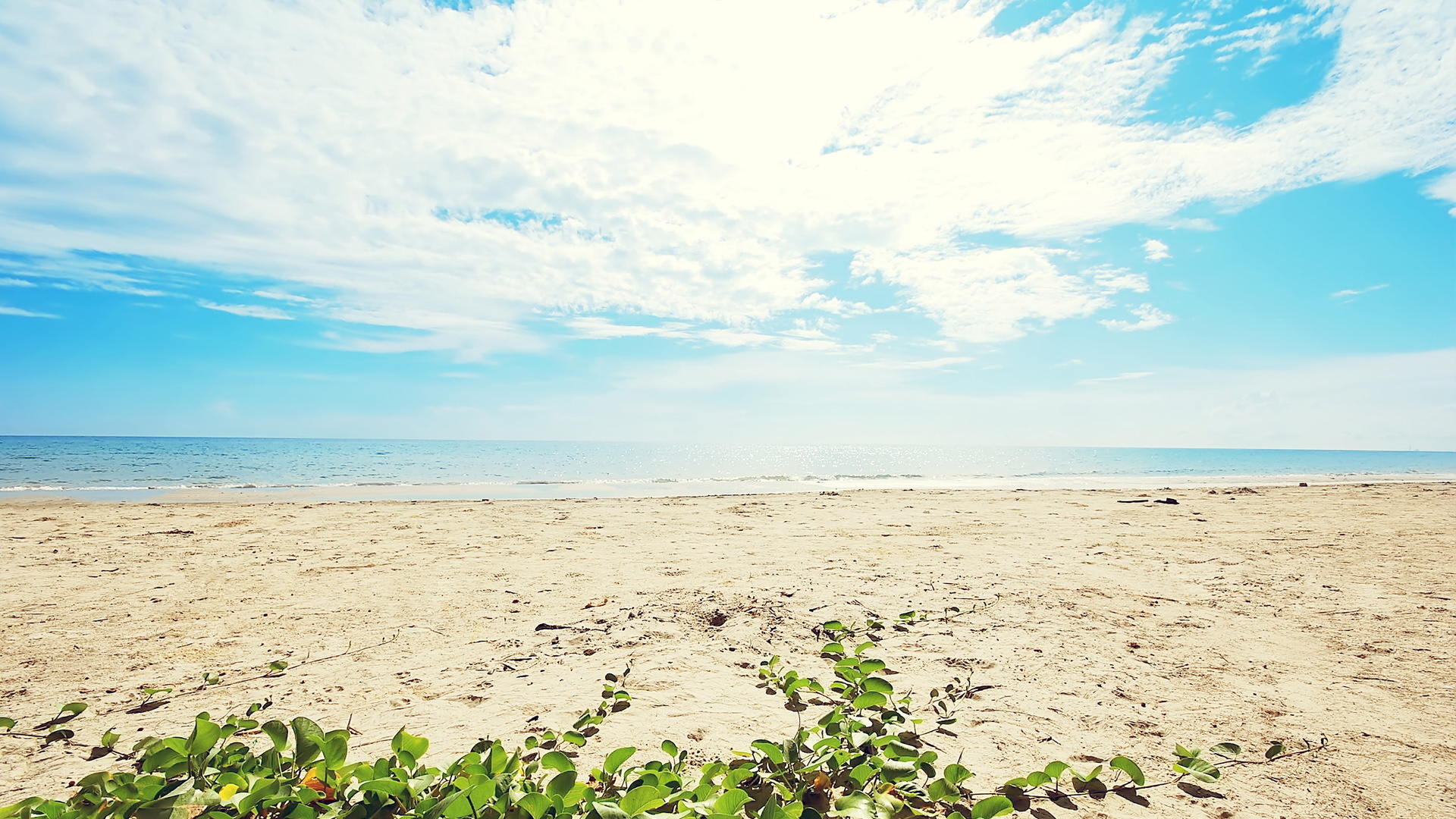 海边 风景 小清新