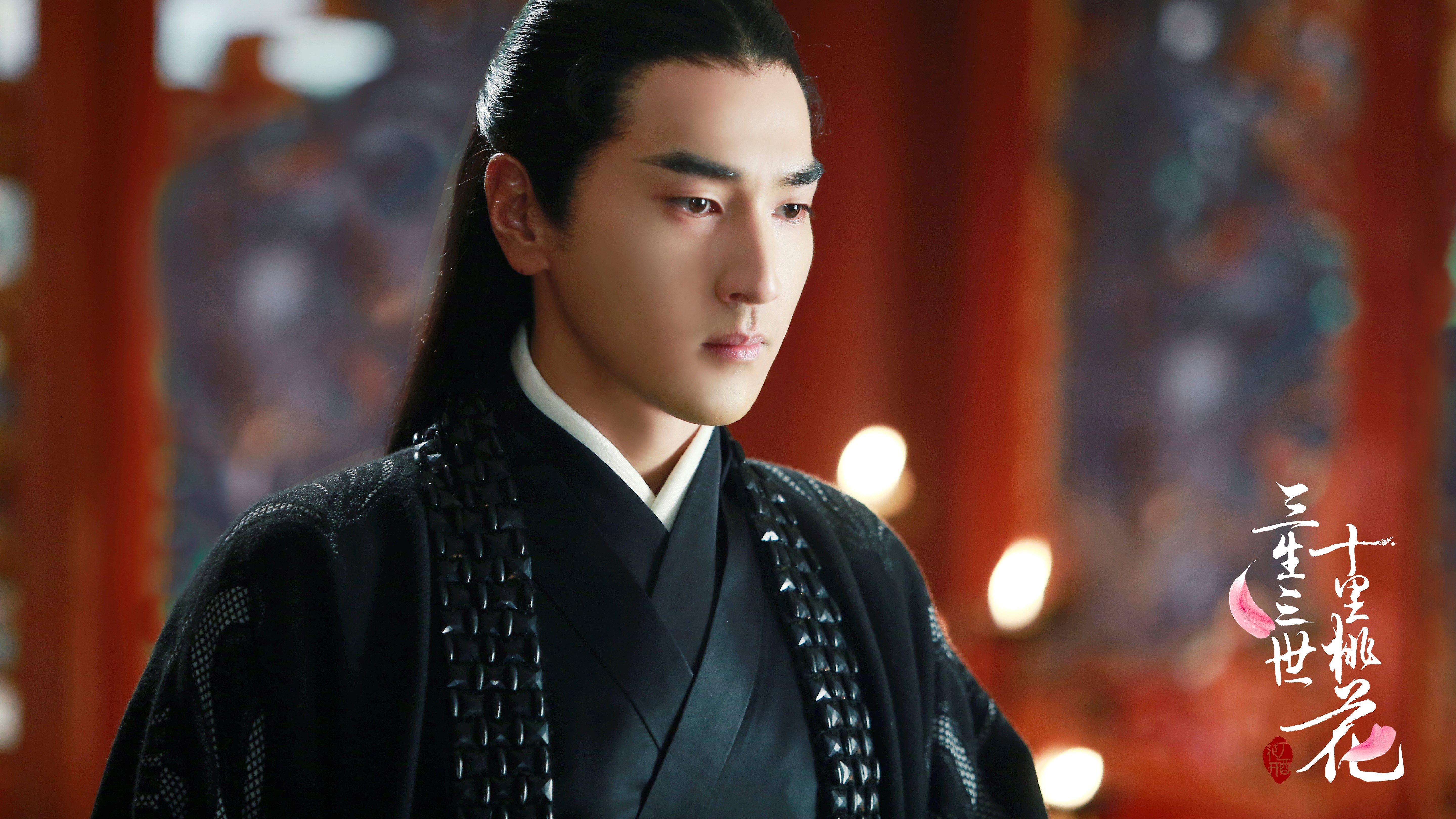 三生三世十里桃花 赵又廷