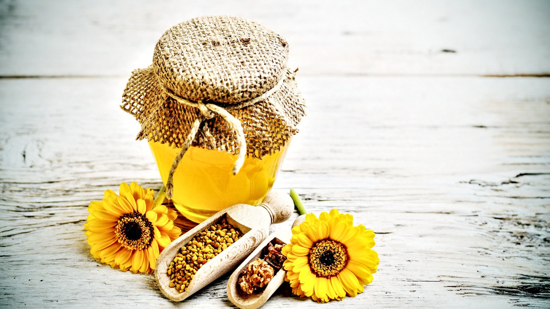 小清新 向日葵 唯美