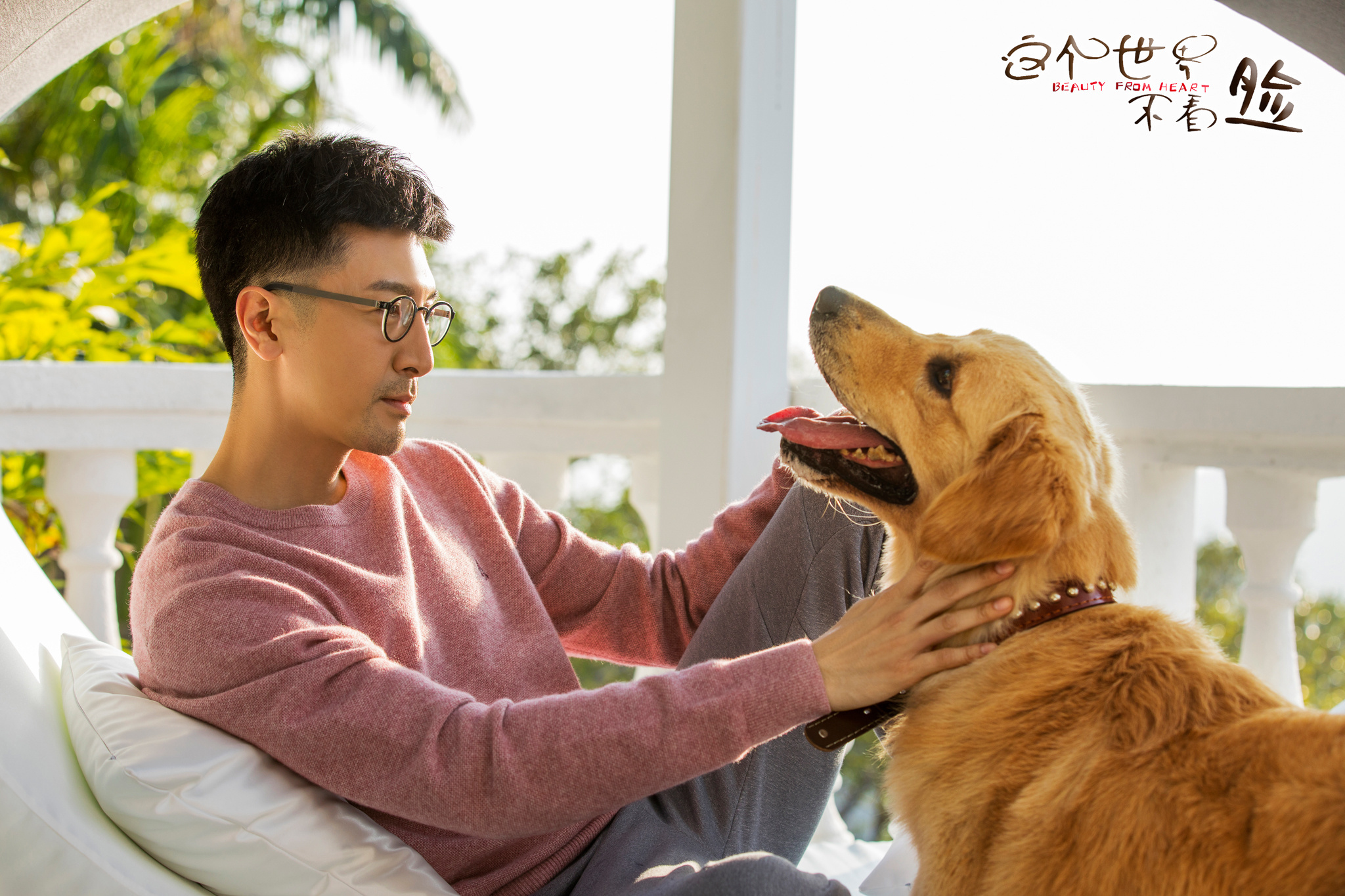 这个世界不看脸 张鲁一 金毛