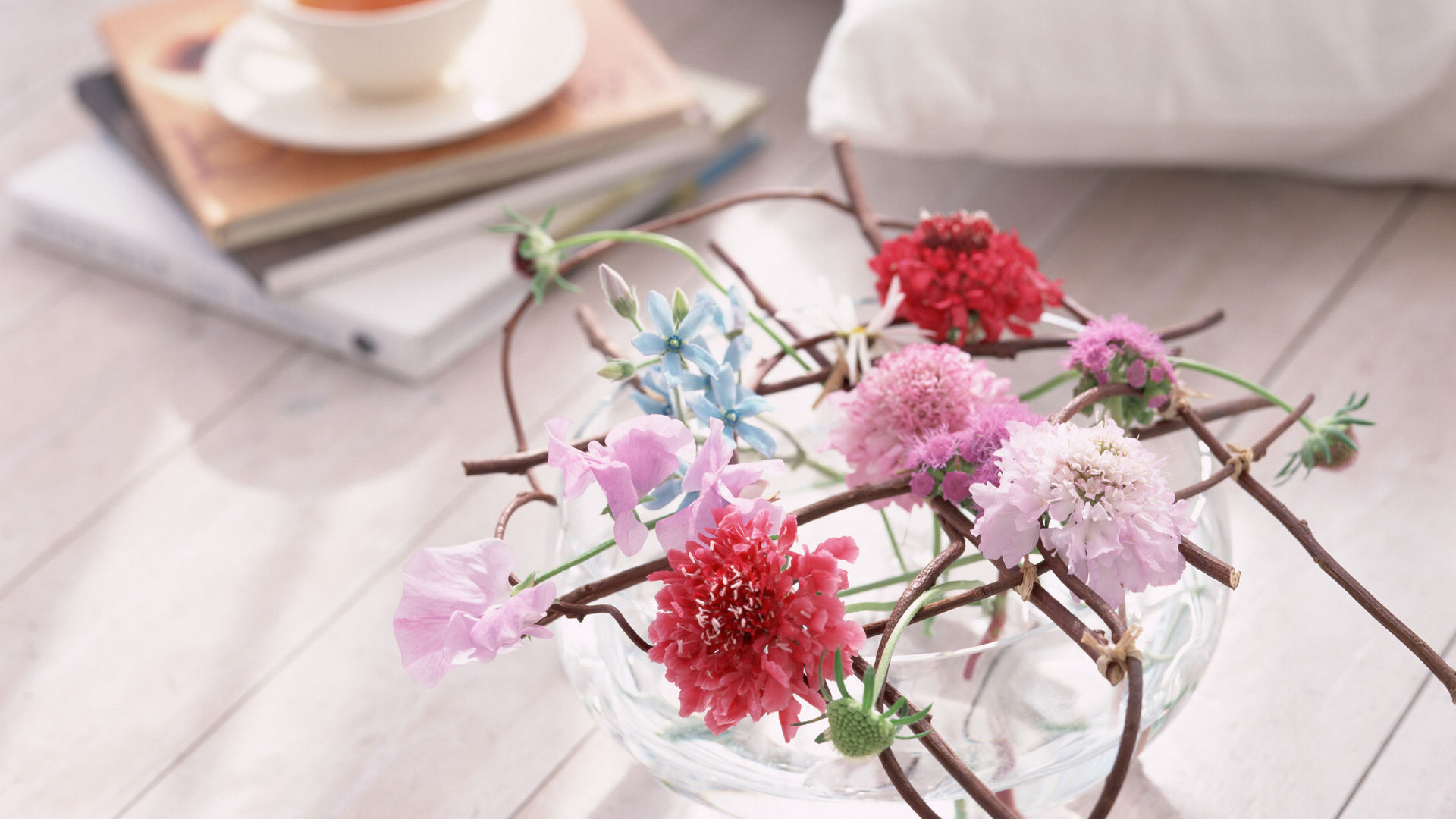 小清新 植物 清新淡雅 花朵