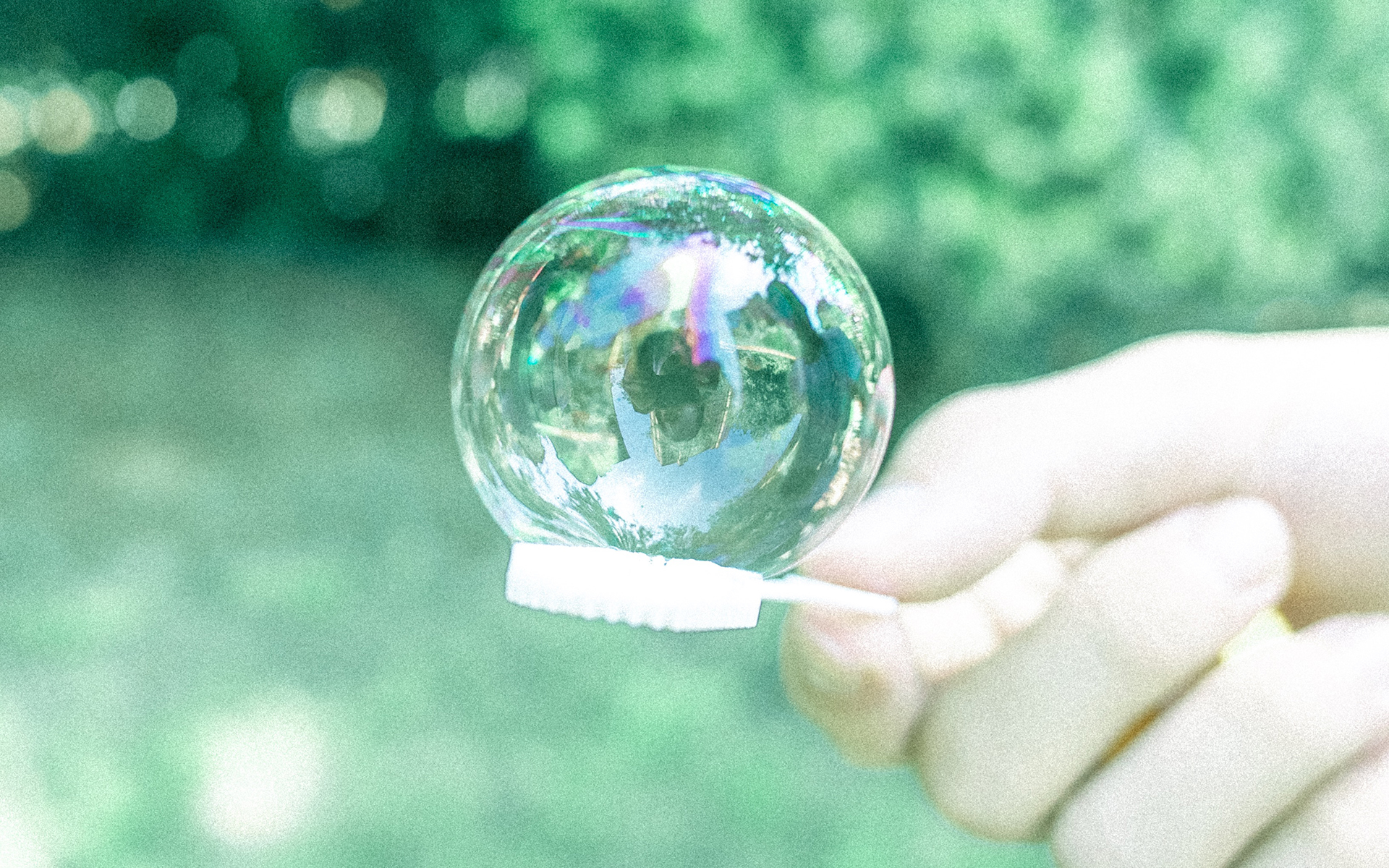 静物写真  日系清新养眼高清桌面