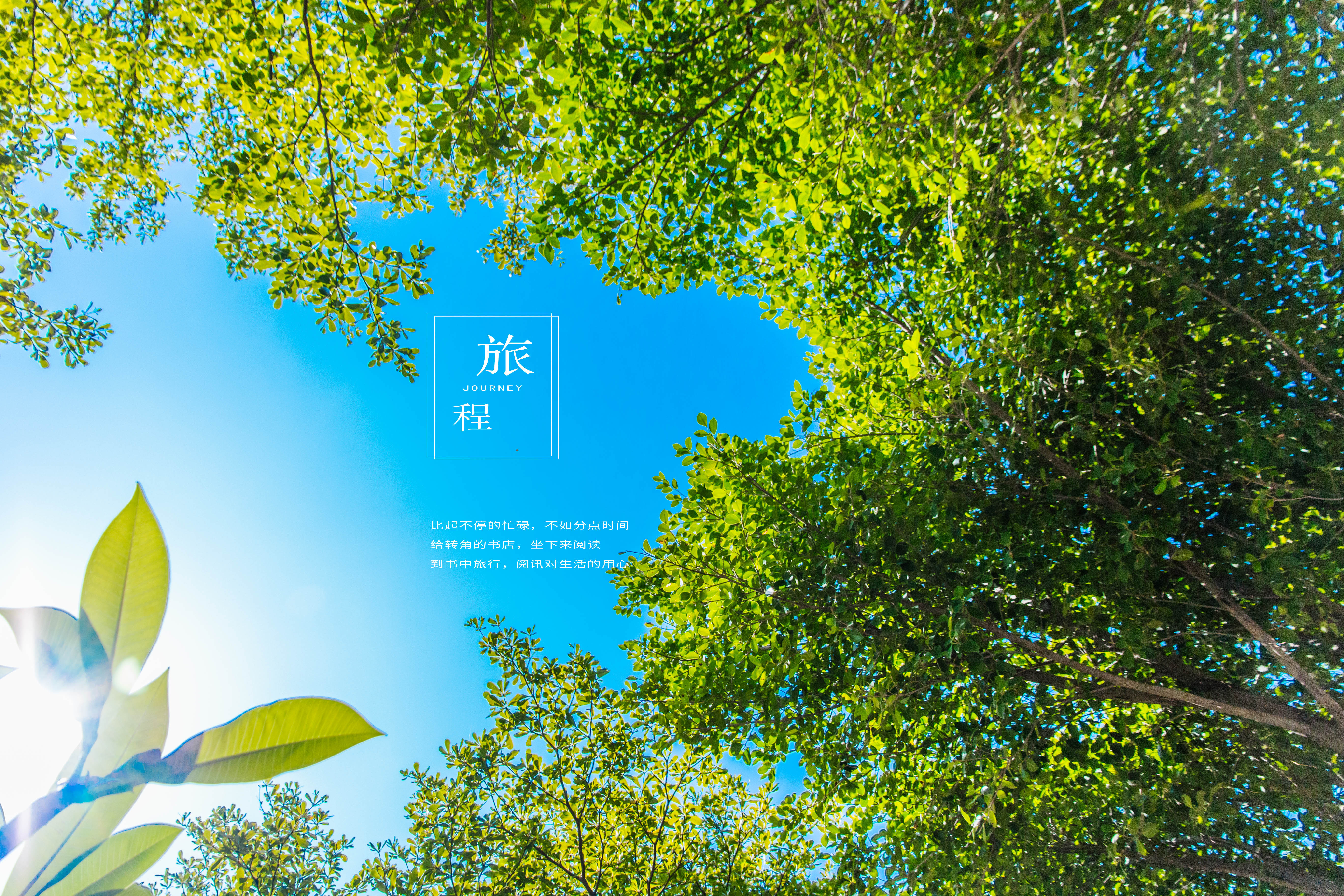 文字控 绿色 旅程 大鱼