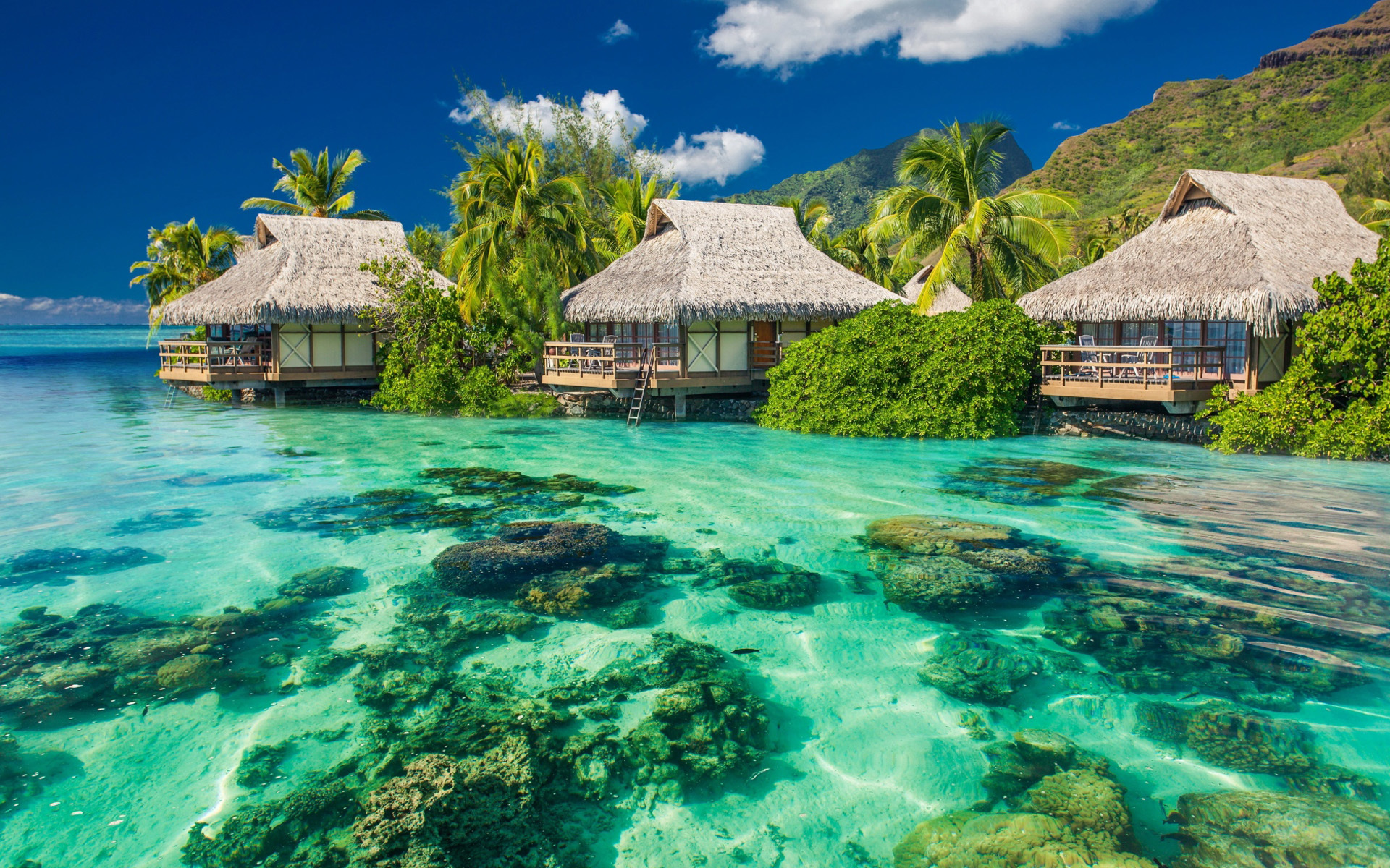 风景 海洋天堂 大海 海上木屋