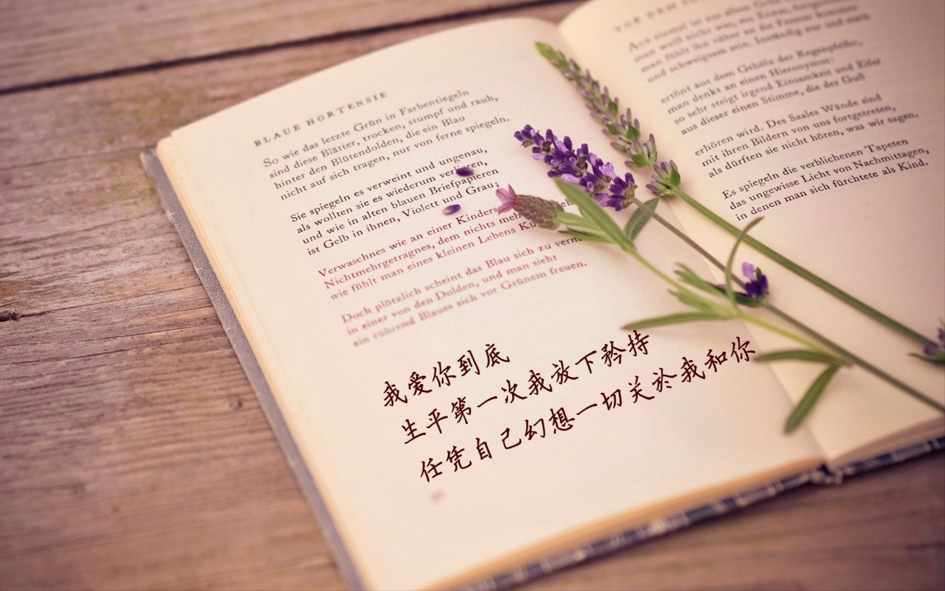 文字 歌词 矜持