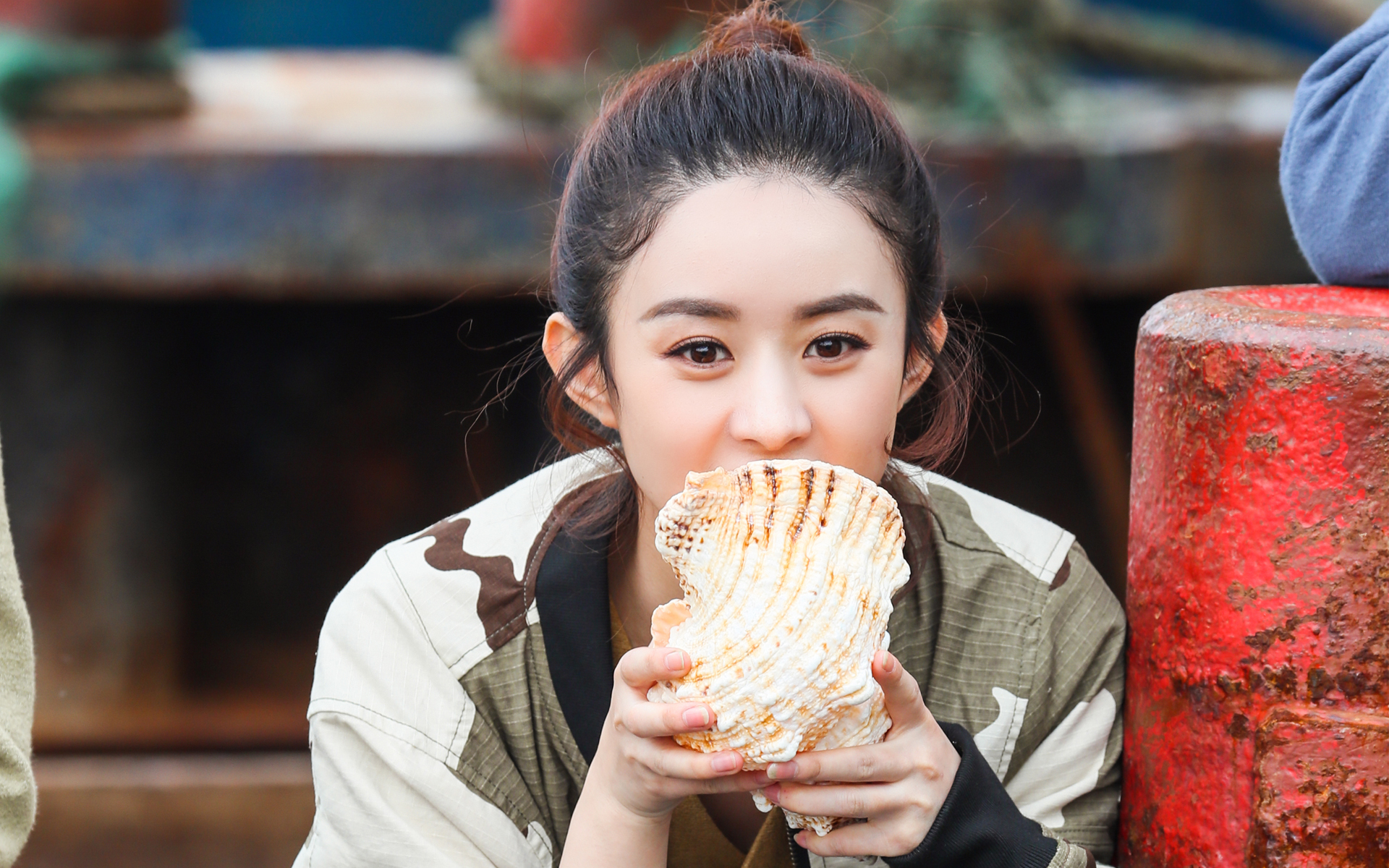 赵丽颖 明星 女星