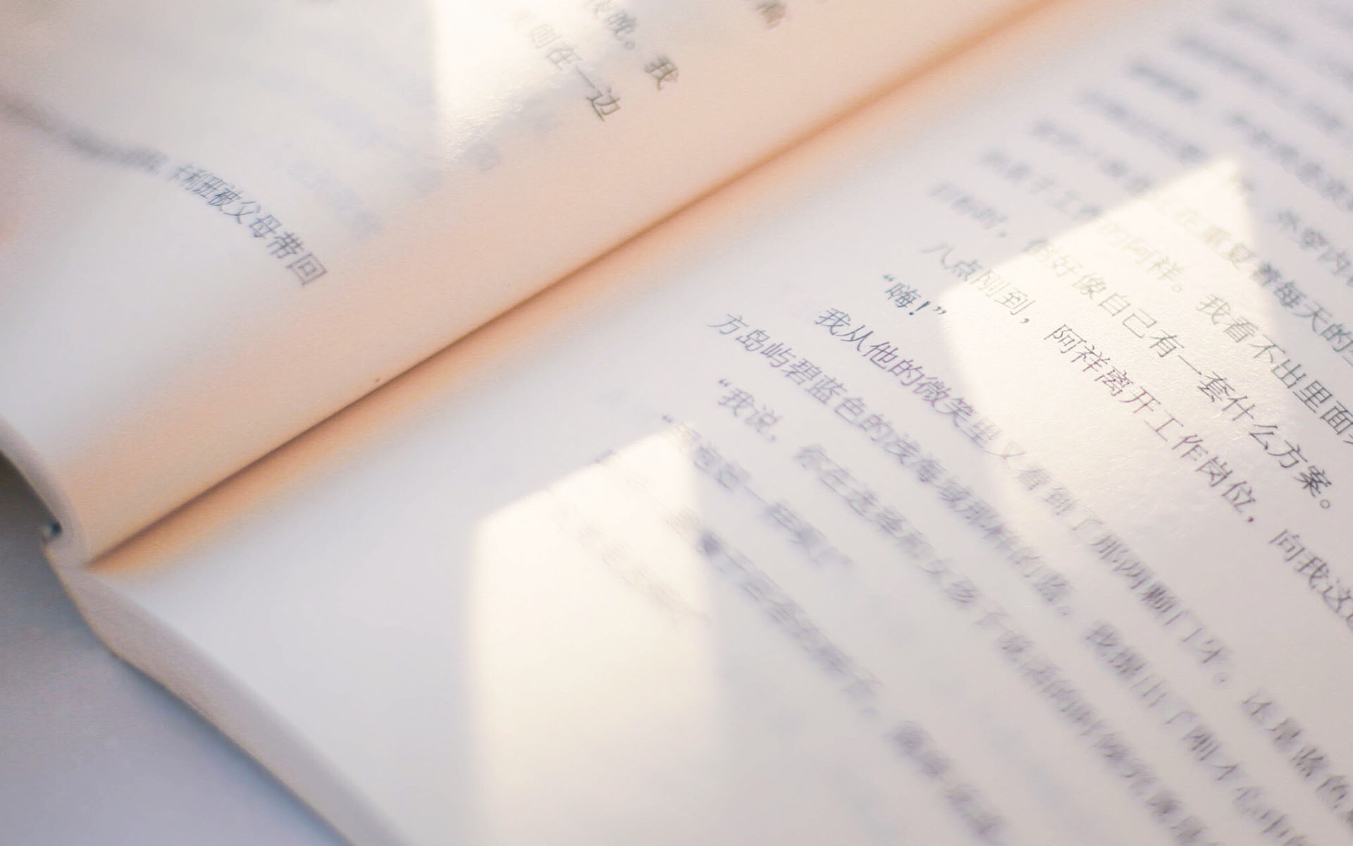 静物写真  书中自有黄金屋