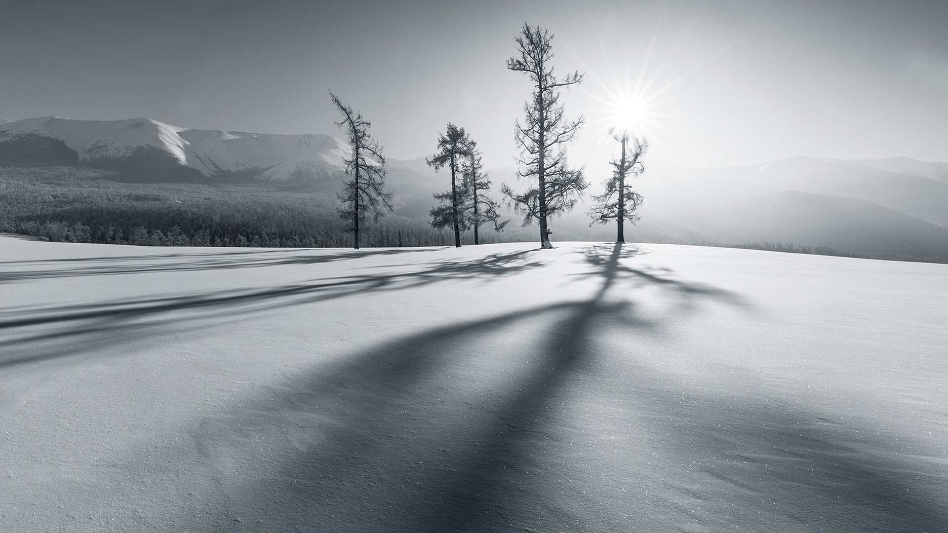 风景 冰天雪地 雪景