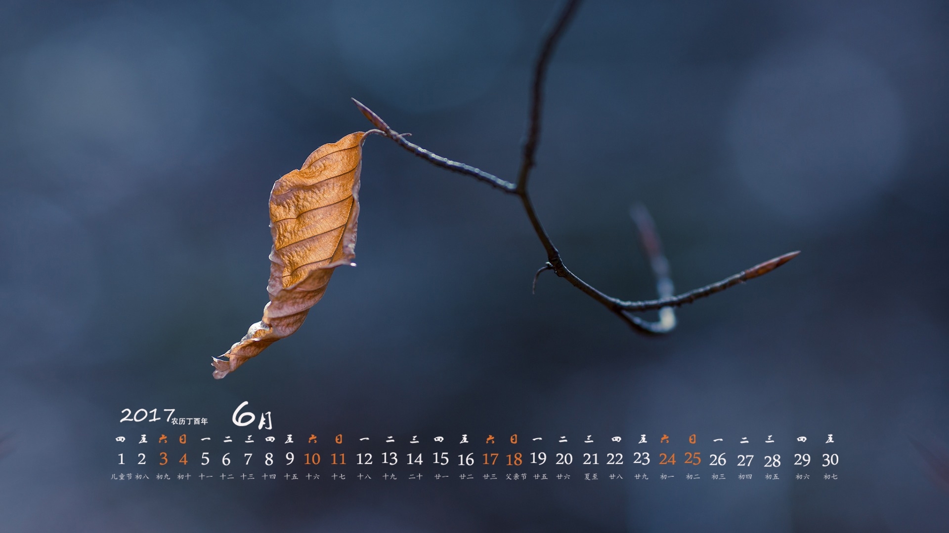 2017年6月 树叶 微距