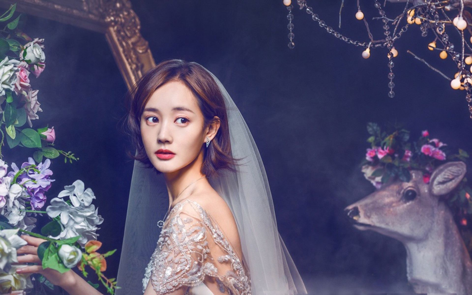 内地明星 李一桐