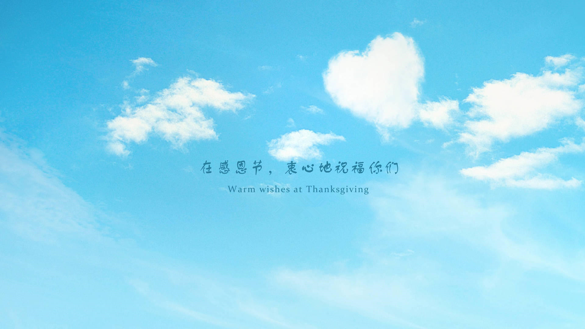 感恩节 节日美图 火鸡 宽屏