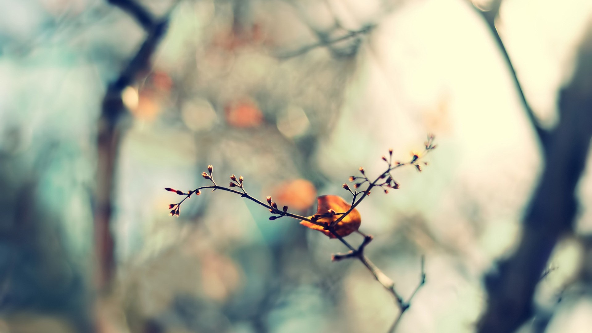 小清新 简单 温馨 高清