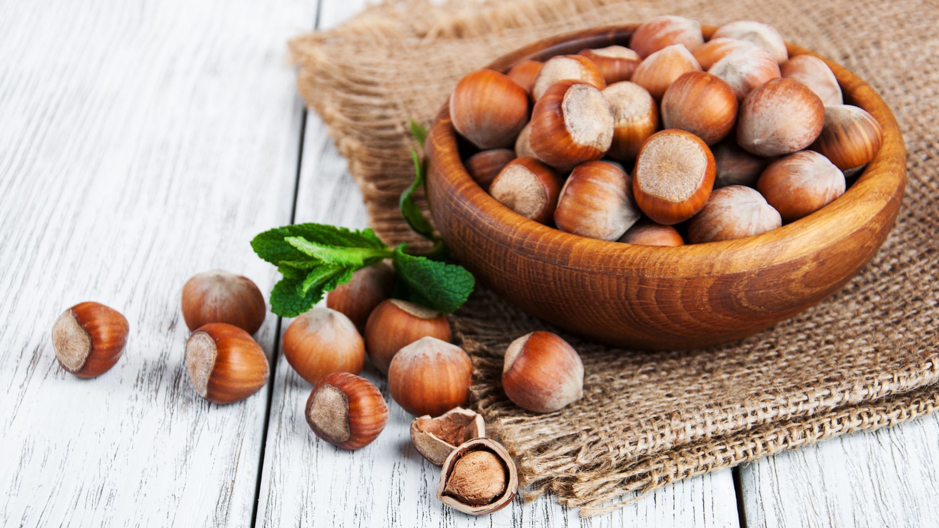 静物写真  栗子  板栗