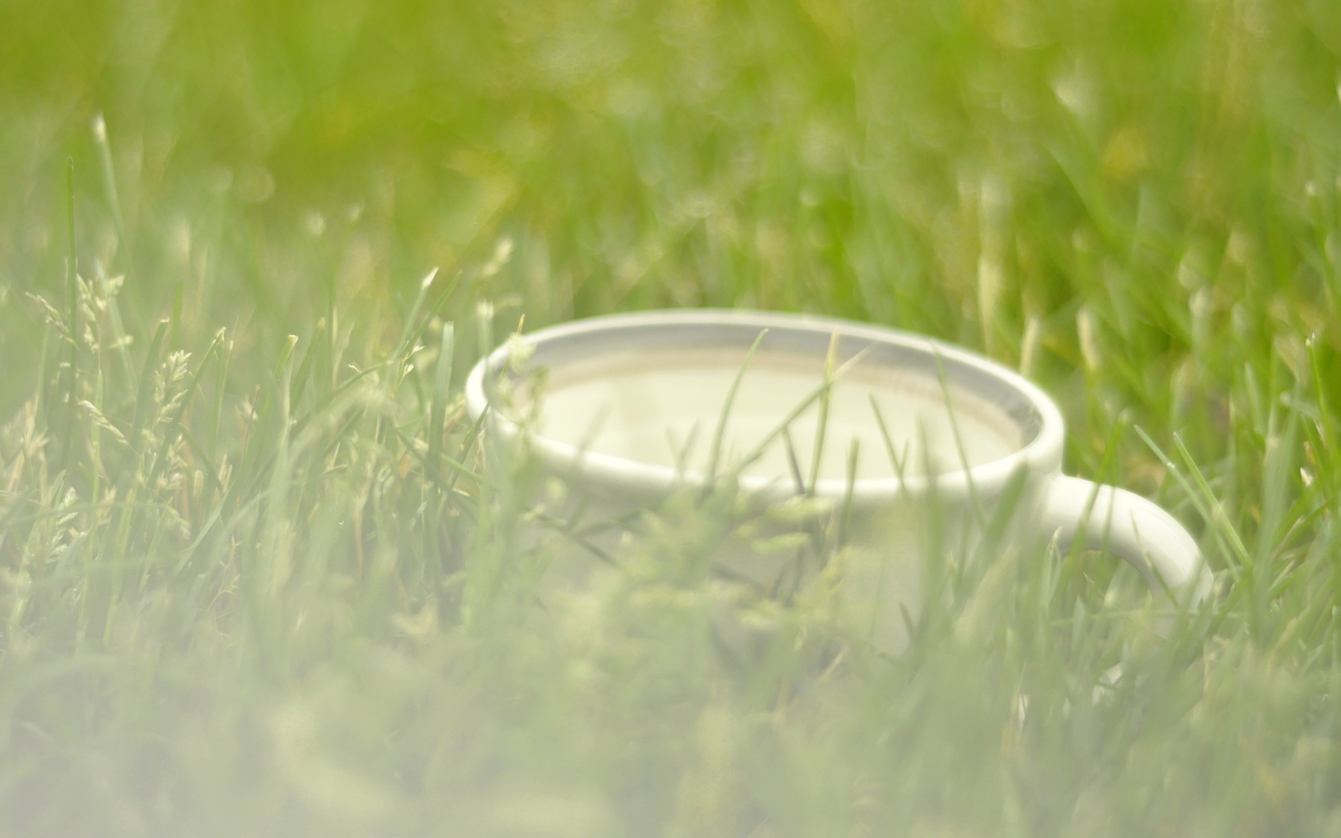 舒缓压力 牛奶 杯子