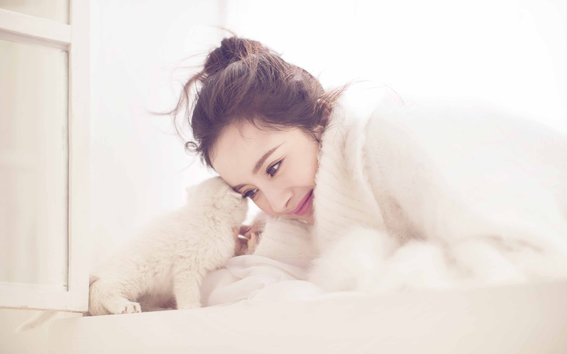 杨幂 写真 冬日 猫咪