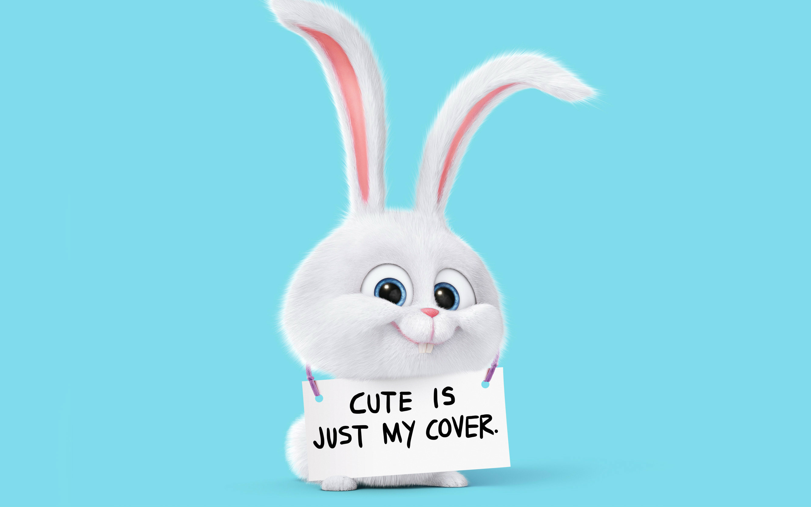 爱宠大机密 兔子