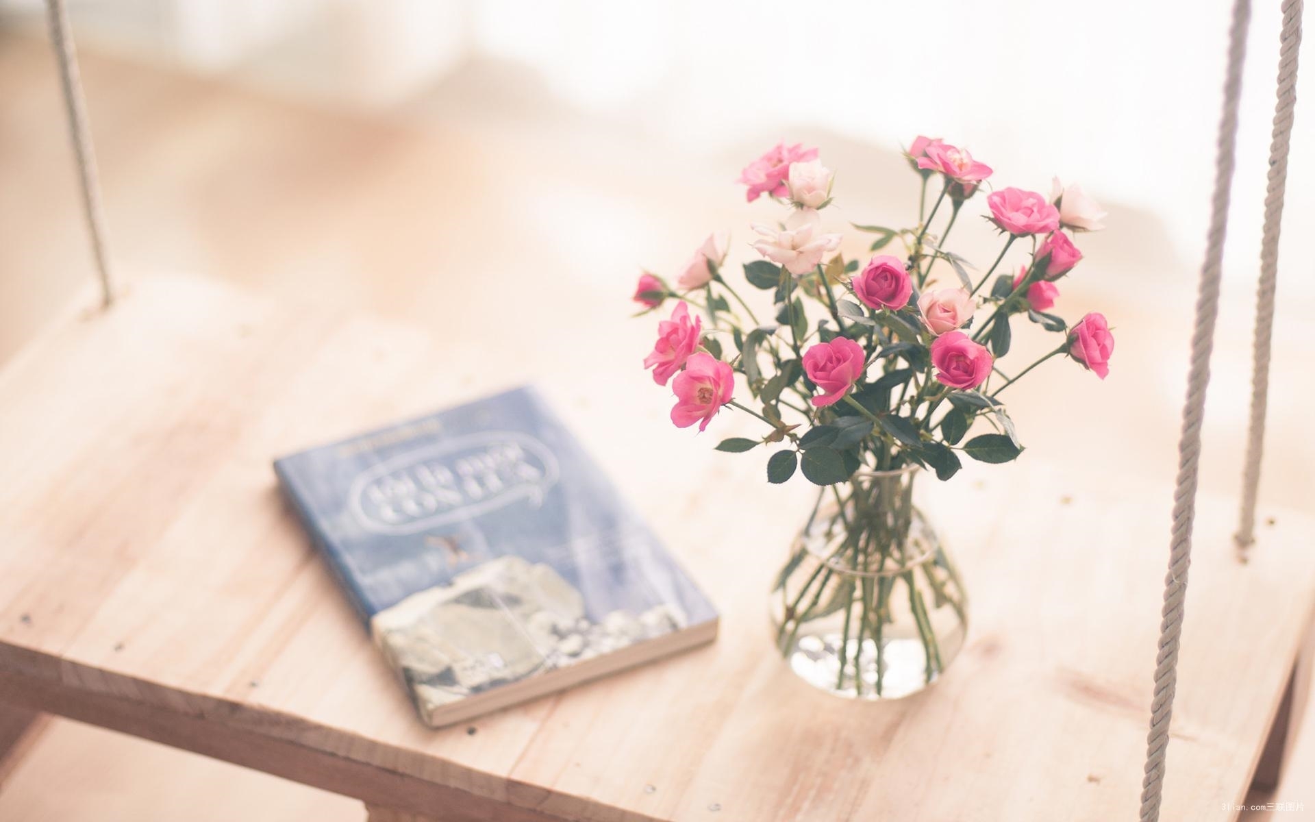 静物写真  沉默 书本   简约  静物