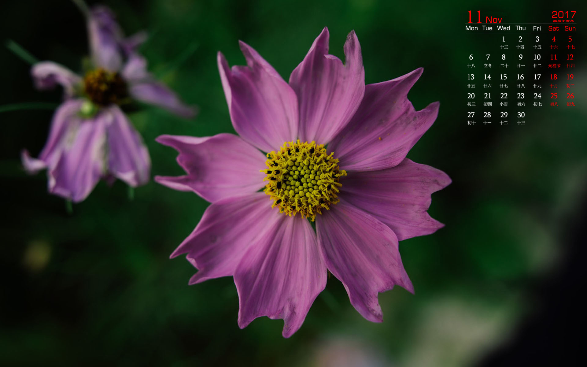 月历 2017年11月