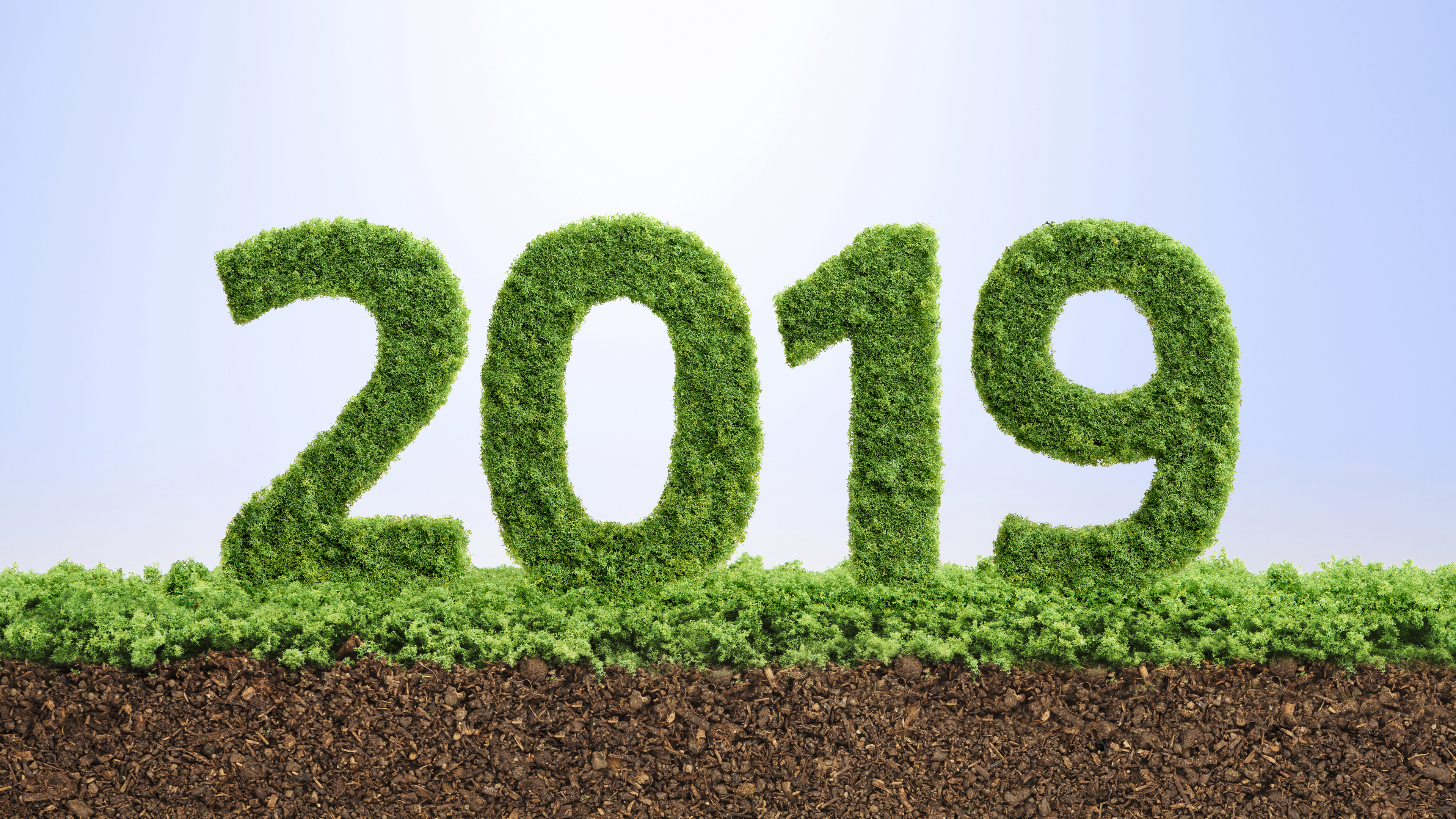 2019年 新年 元旦