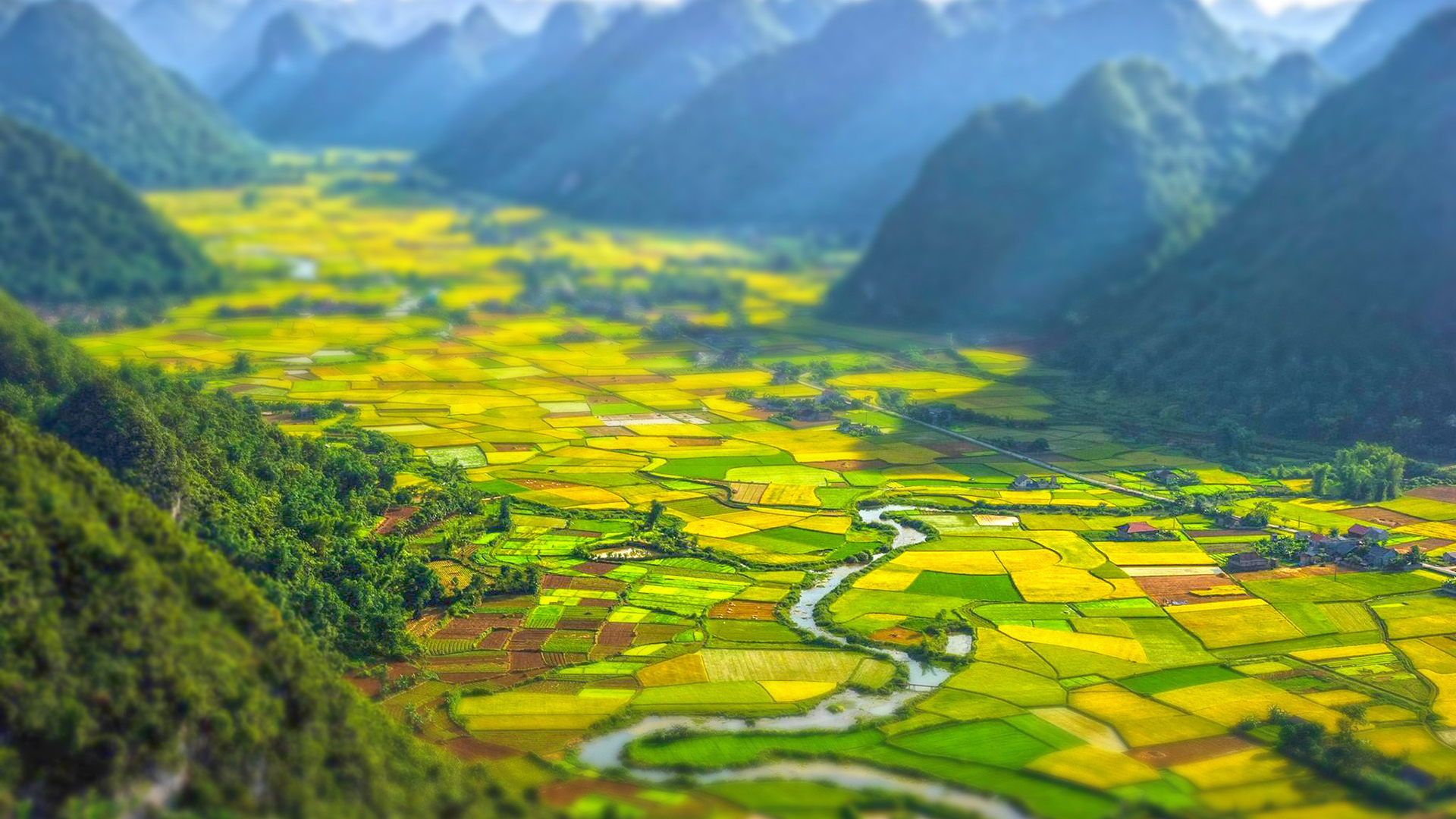 风景 油菜花 高山 移轴