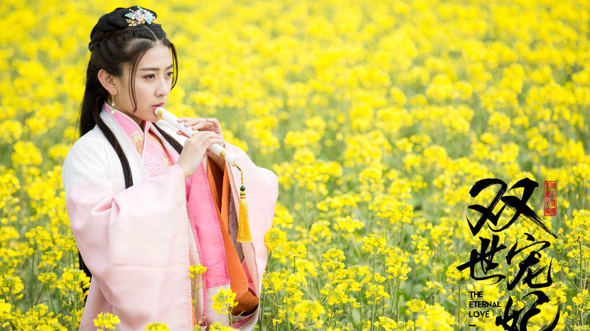 影视 电视剧 双世宠妃