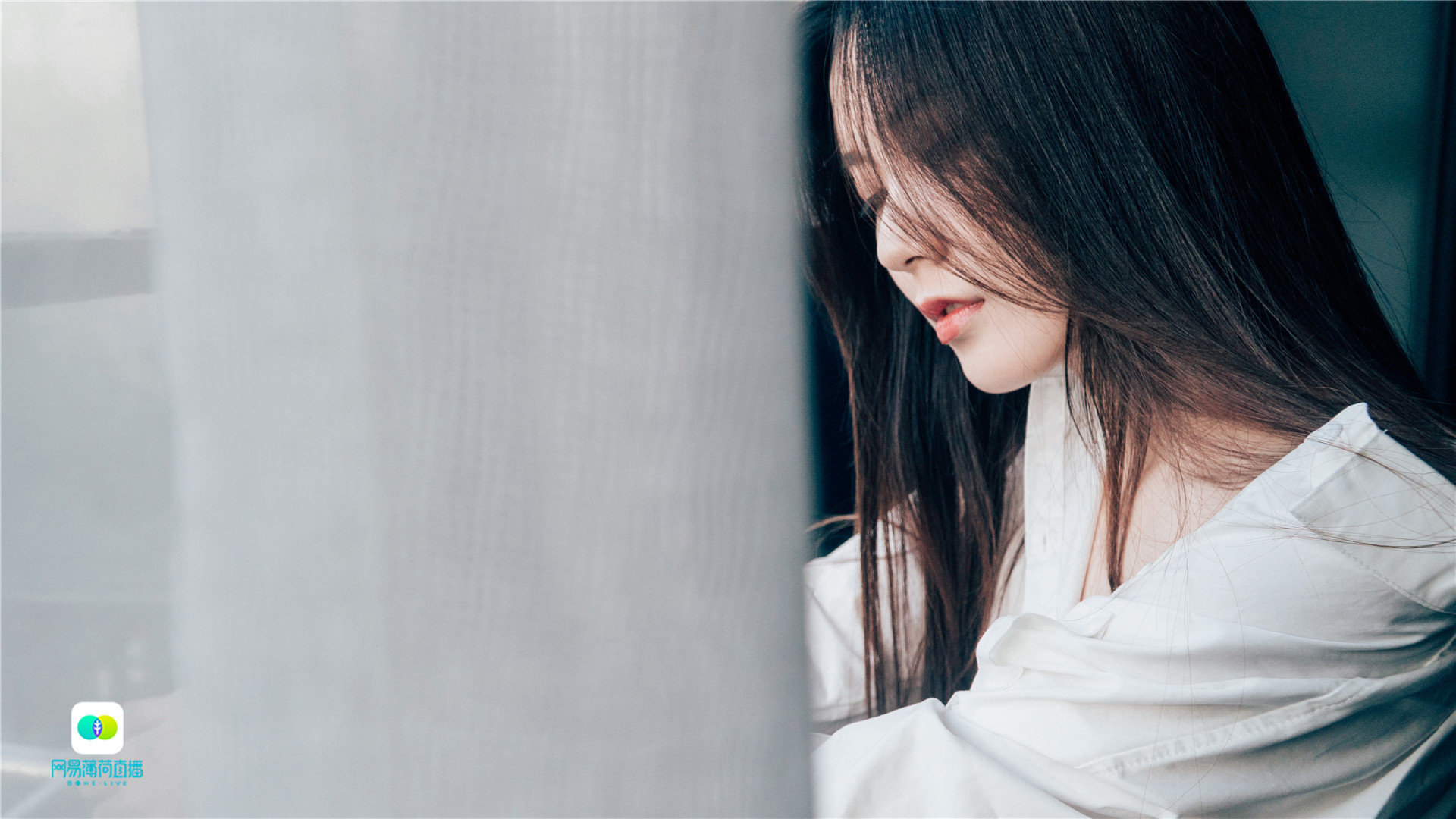 清纯  网易薄荷直播美女