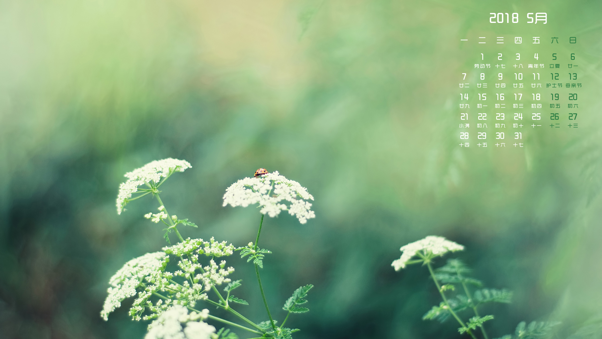 月历 2018年5月