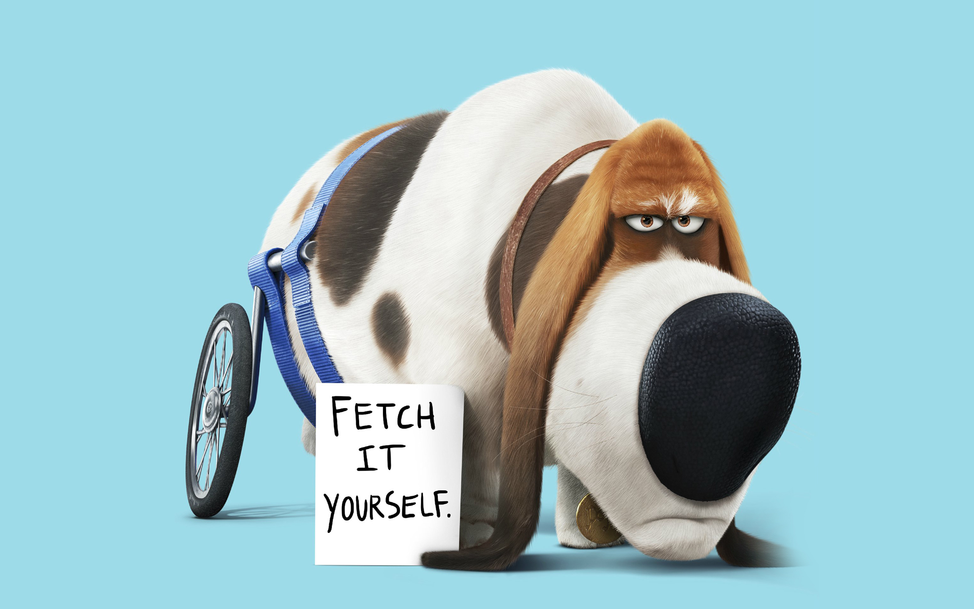 动漫 卡通 爱宠大机密