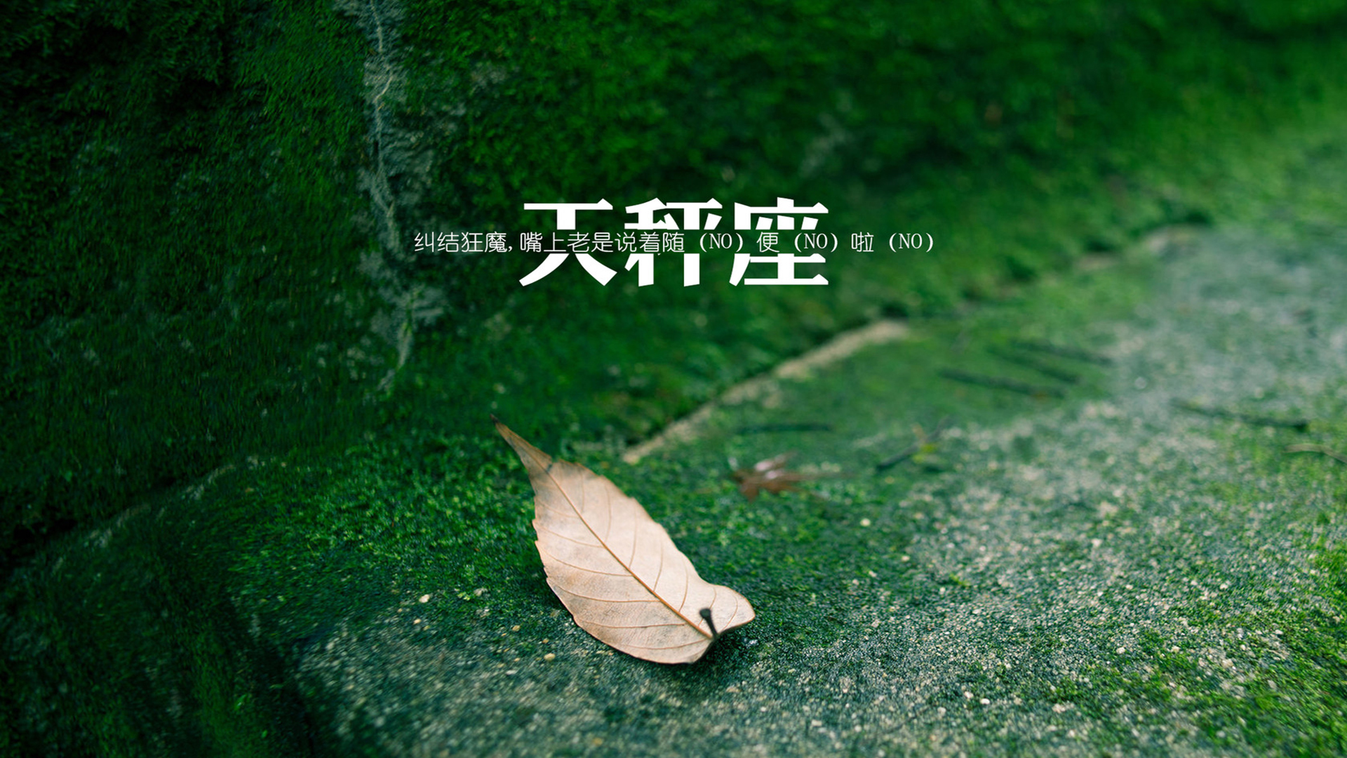 文字 天平座 星座