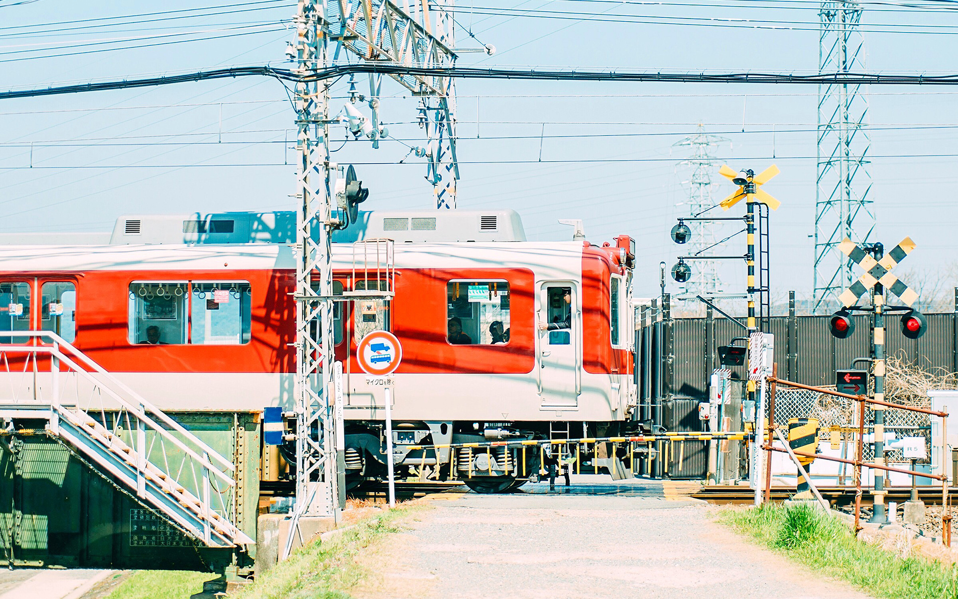 静物写真  小清新绿色风景