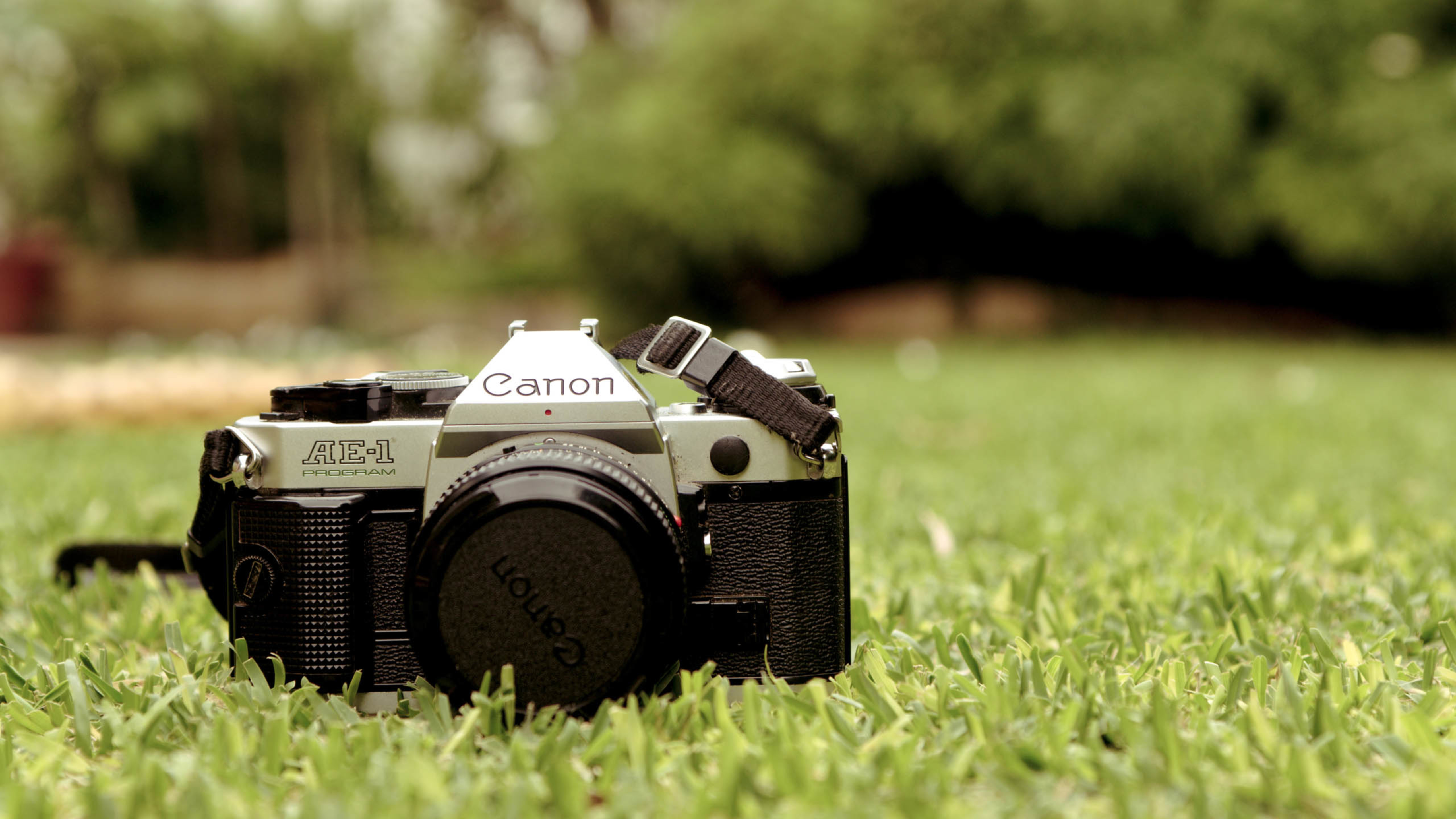 相机 草地 微距