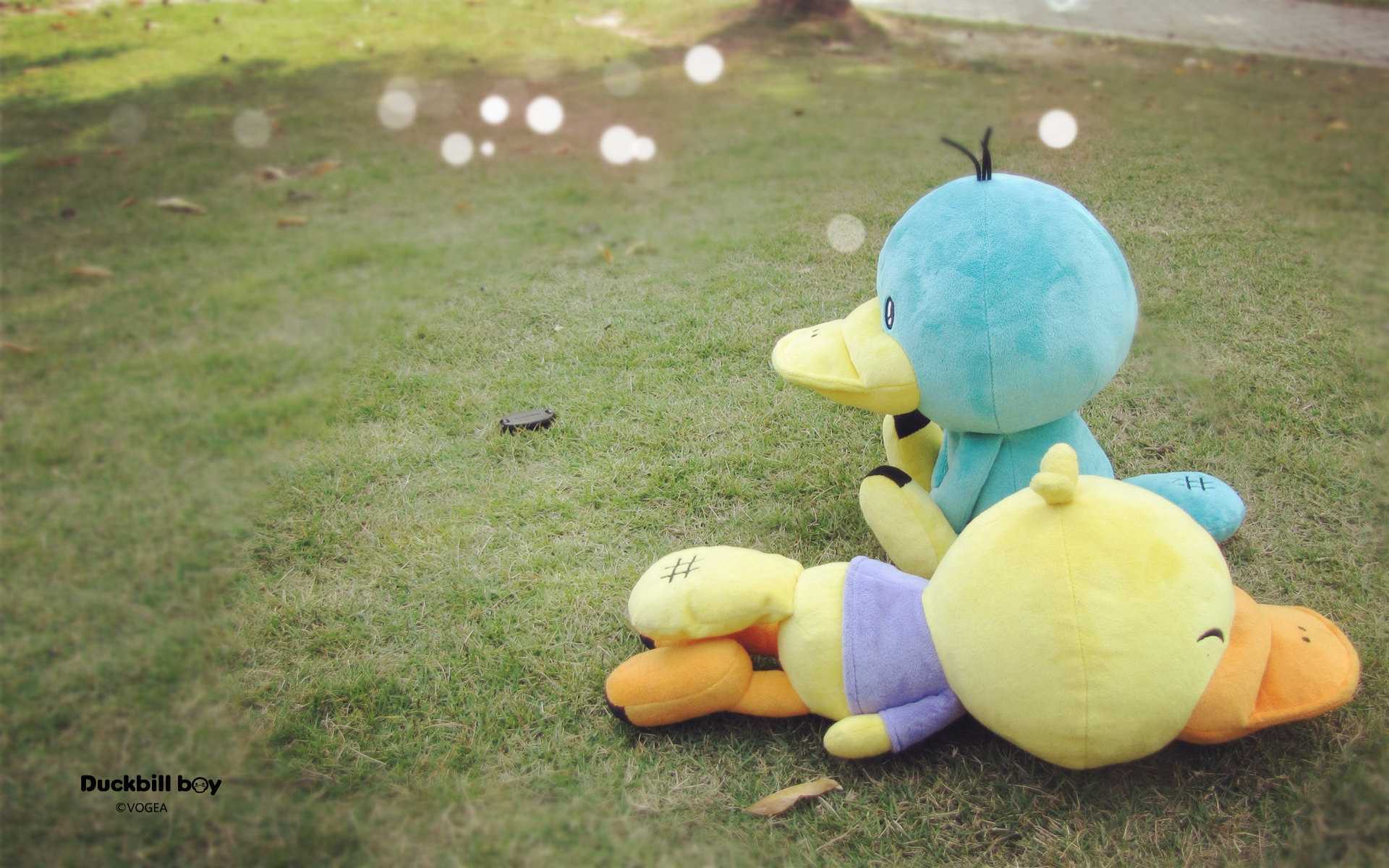 鸭嘴兽男孩 公仔