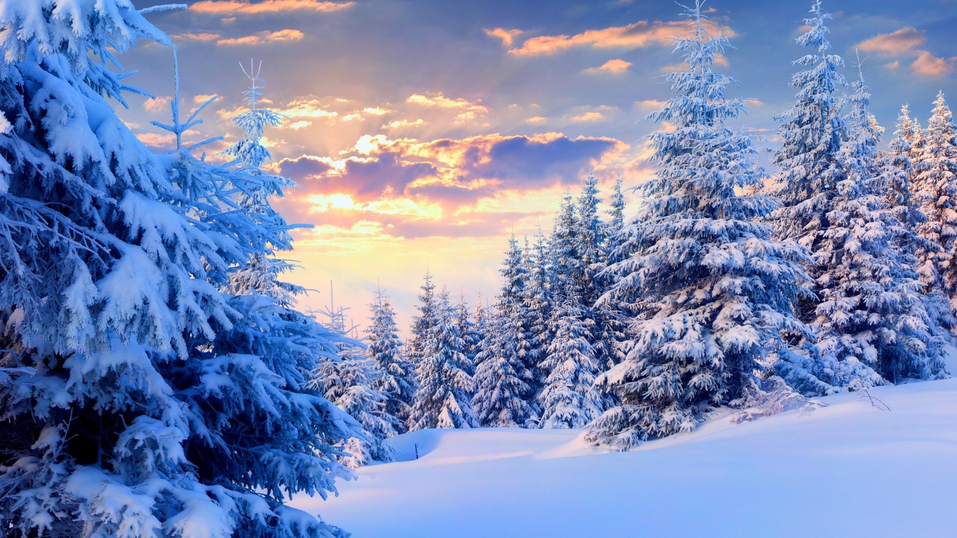 http://p17.qhimg.com/t01bb95856da6e5c515.jpg