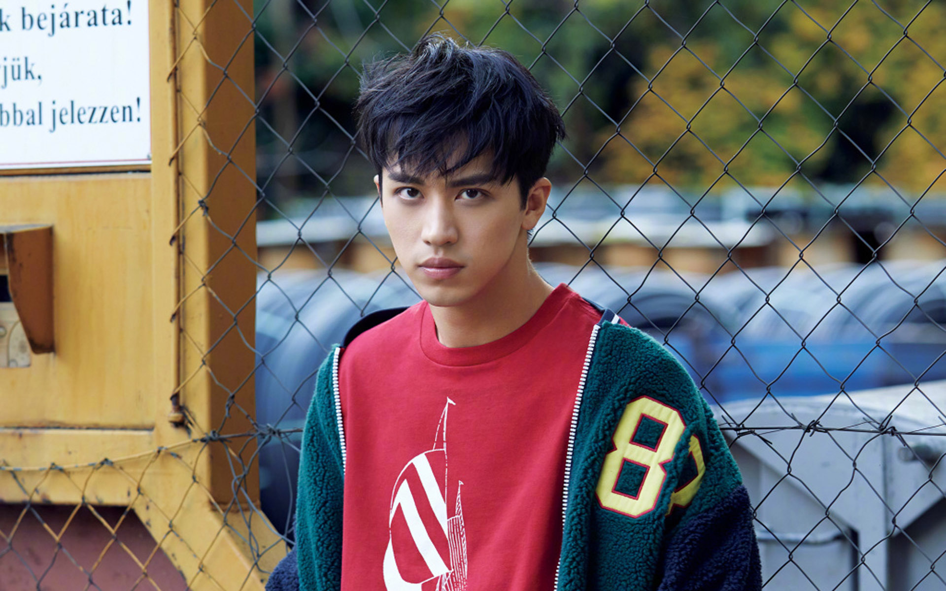 内地明星 许魏洲