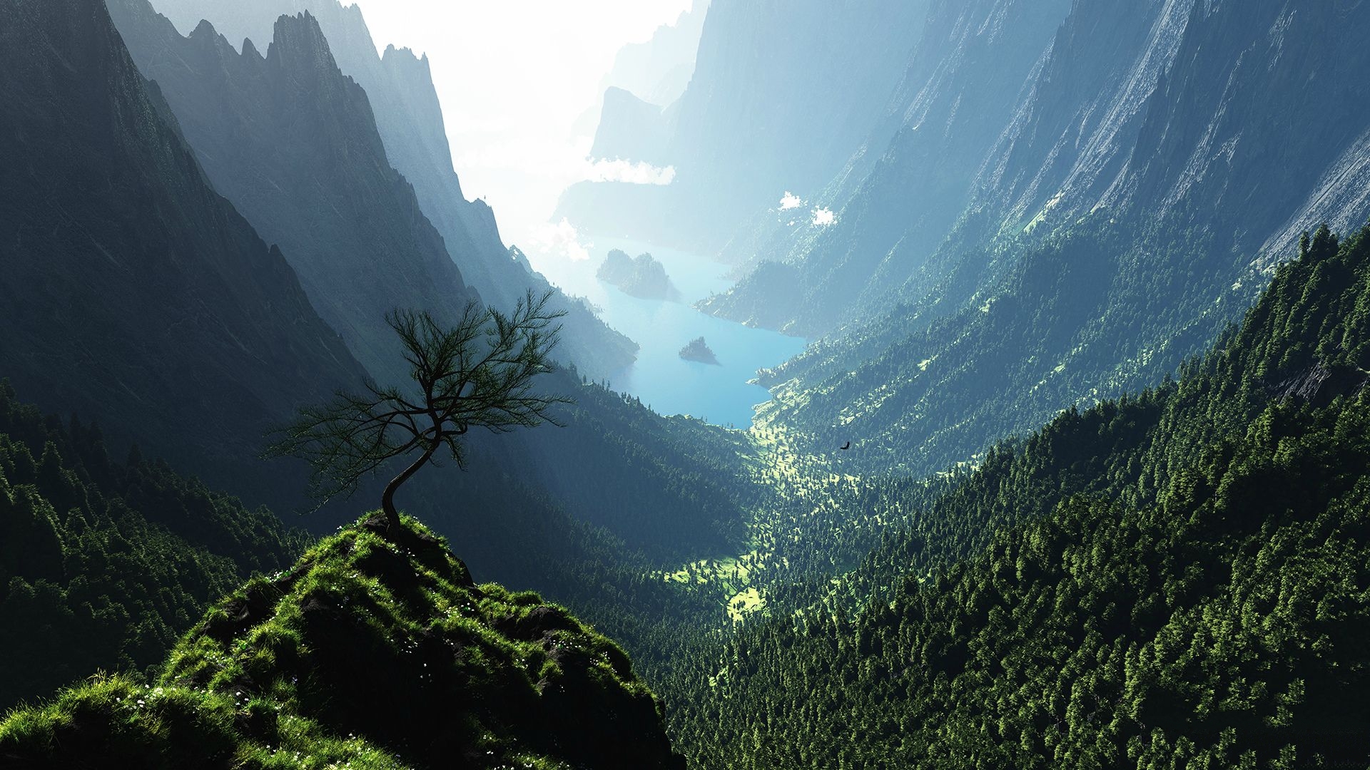 自然风光 峡谷 森林