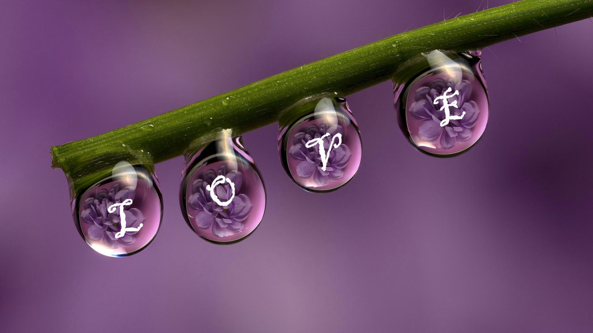 爱情箴言 love 水珠