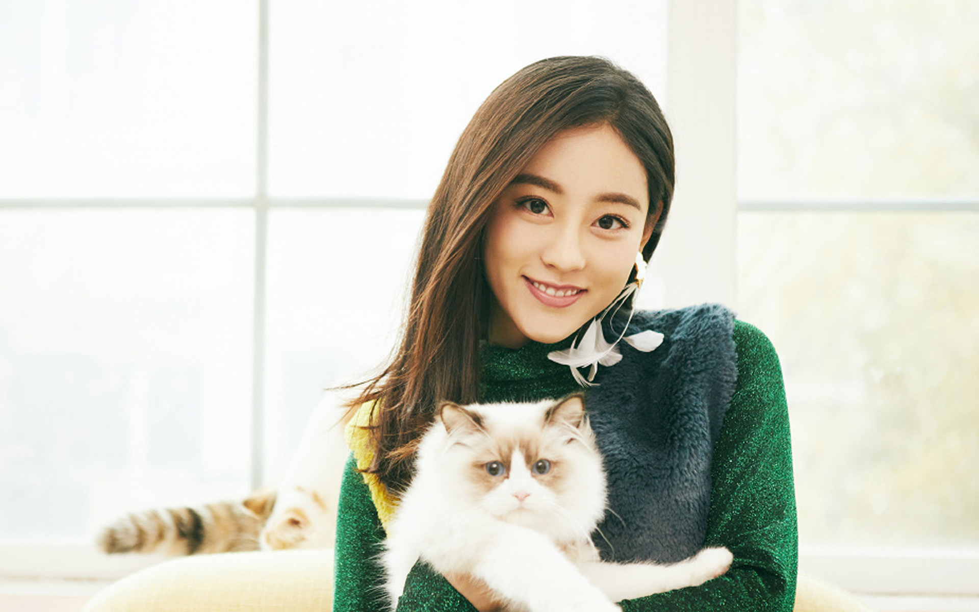 女明星 祝绪丹 可爱 猫咪
