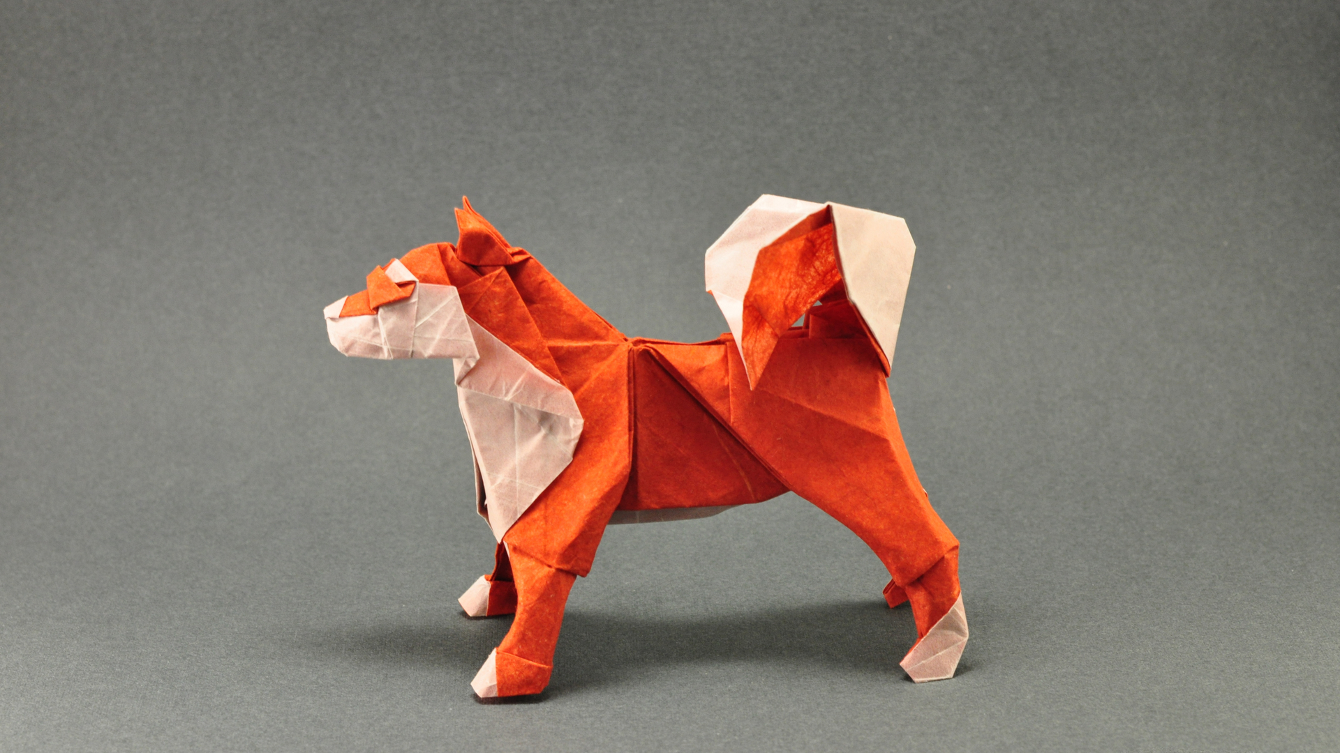 小清新 静物写真 折纸 小狗