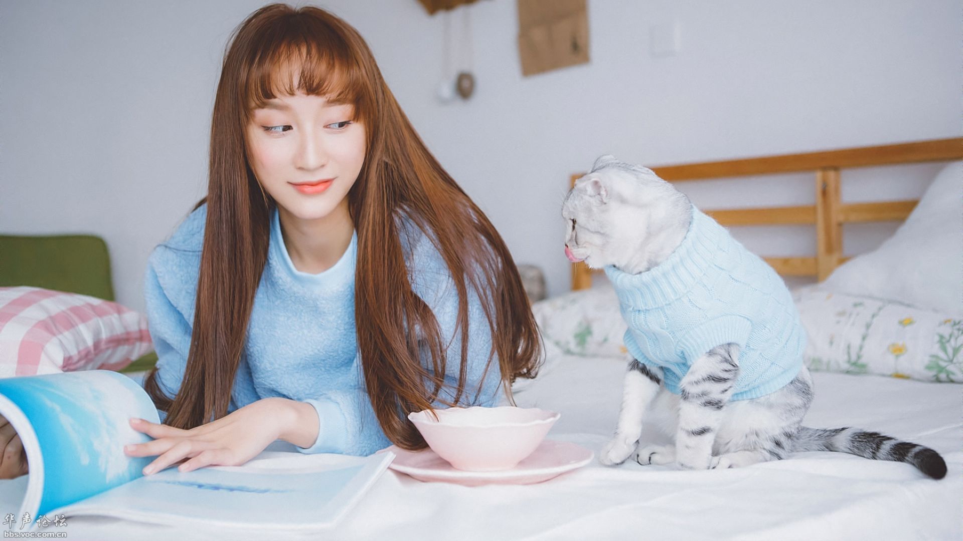 清纯 唯美 家居 猫咪