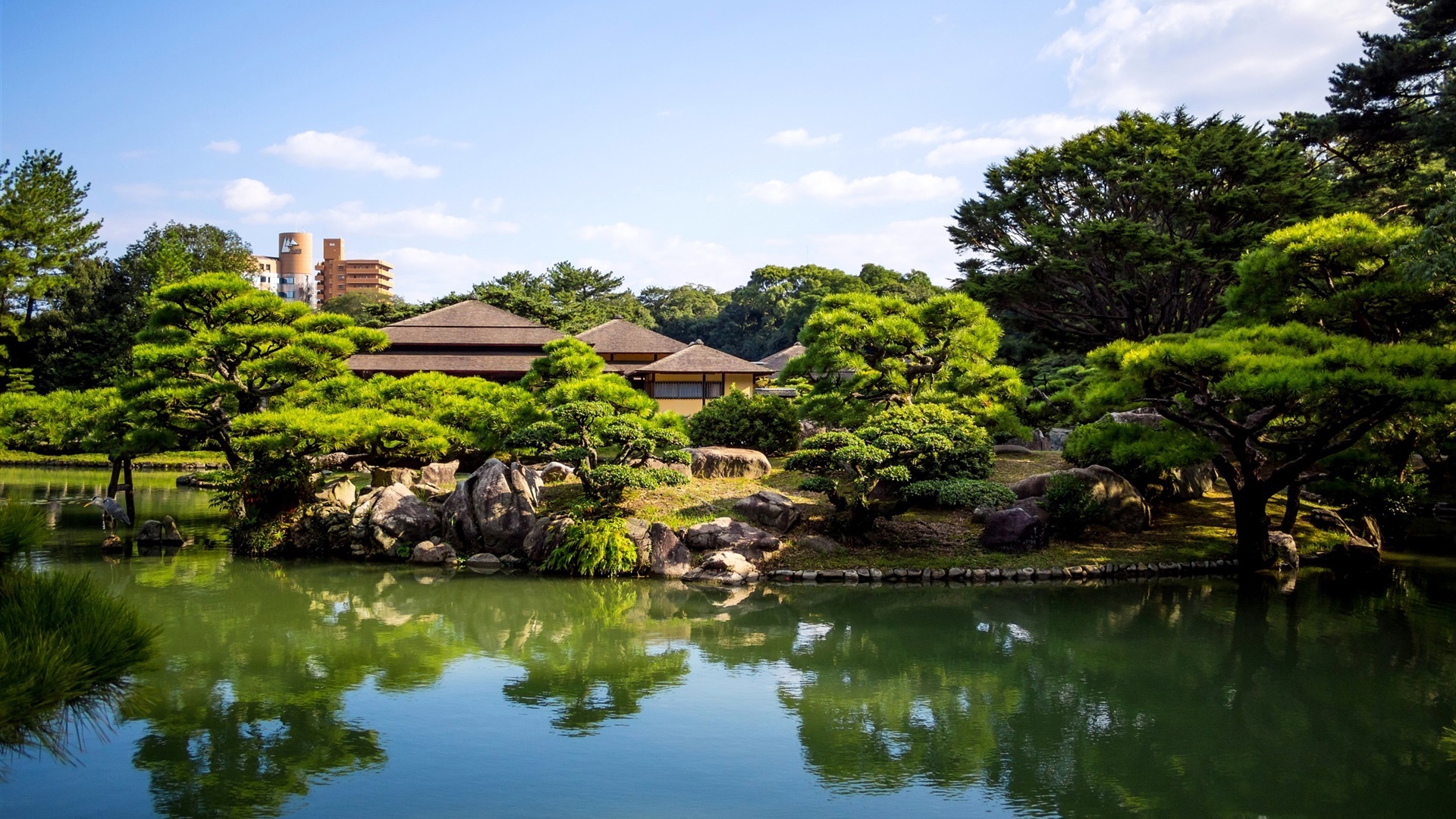 风景 自然风光 湖泊 园林
