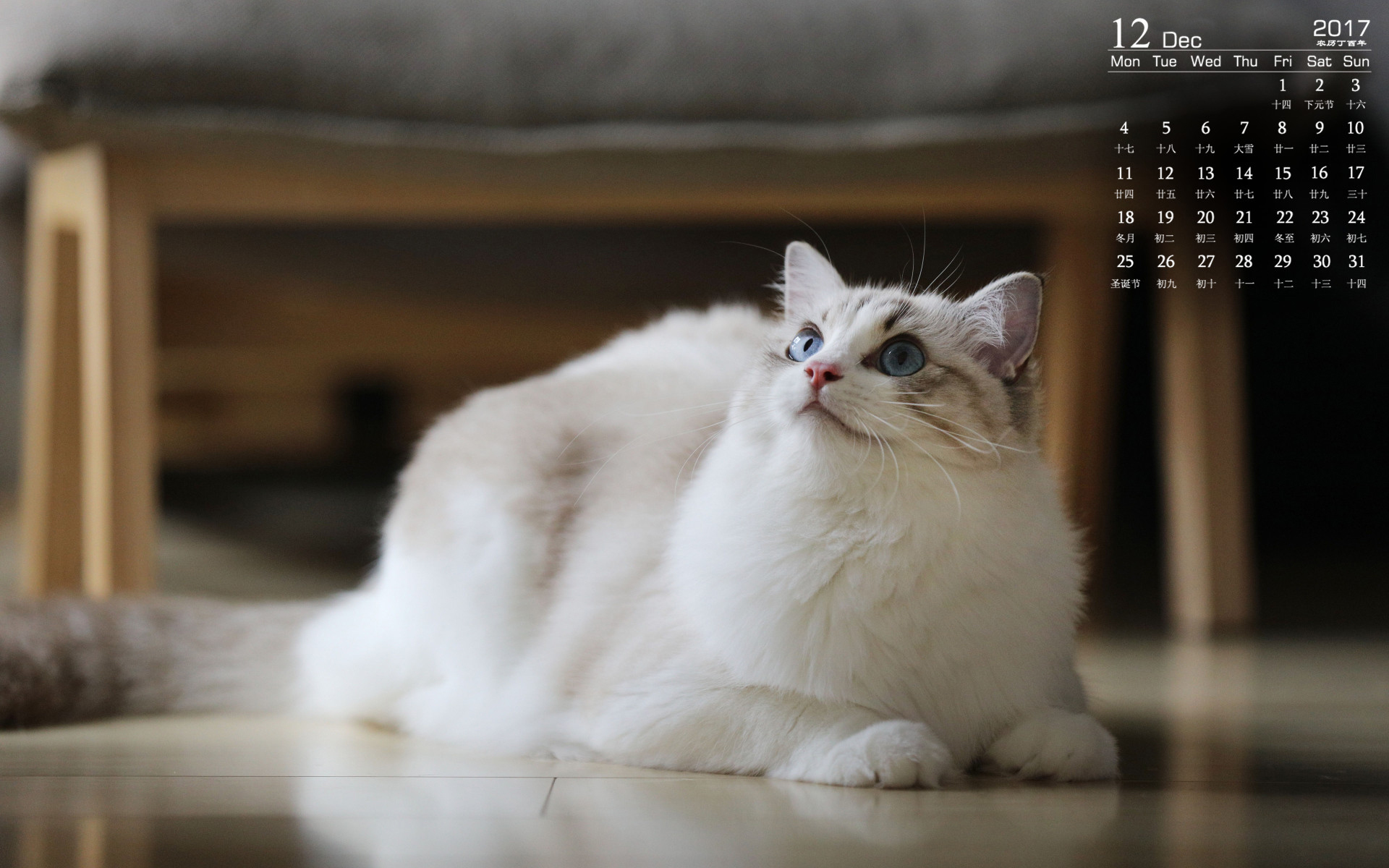 月历 2017年12月
