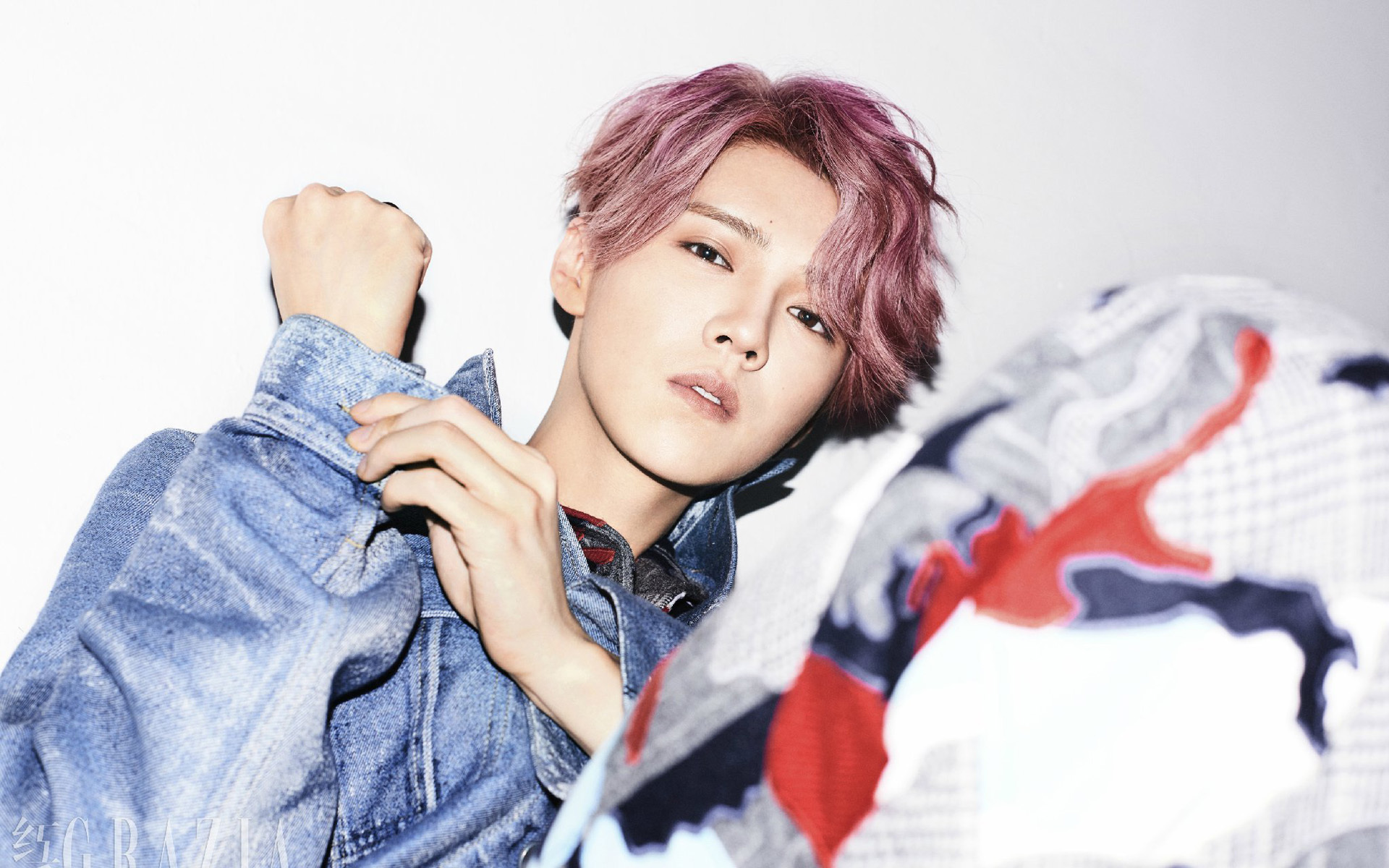 鹿晗 明星 小鲜肉