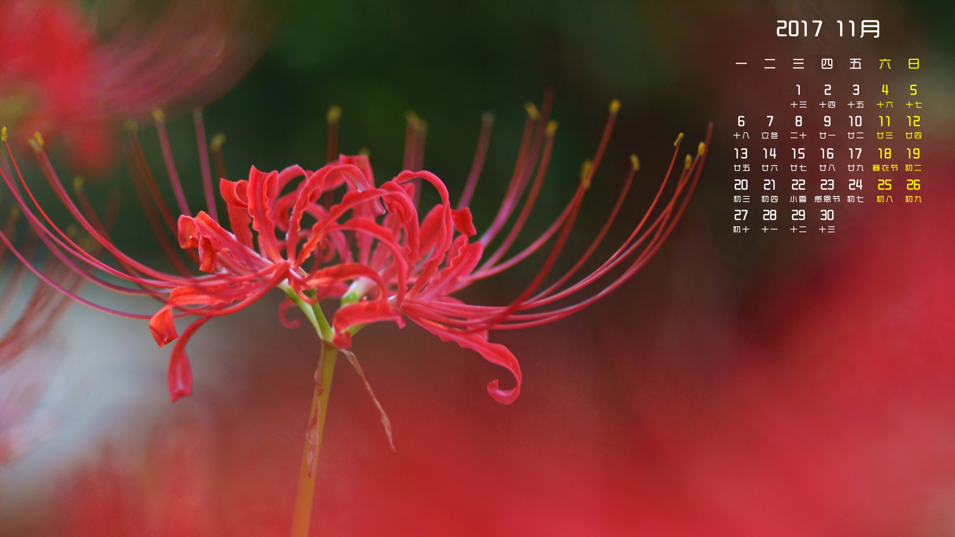 月历 2017年11月