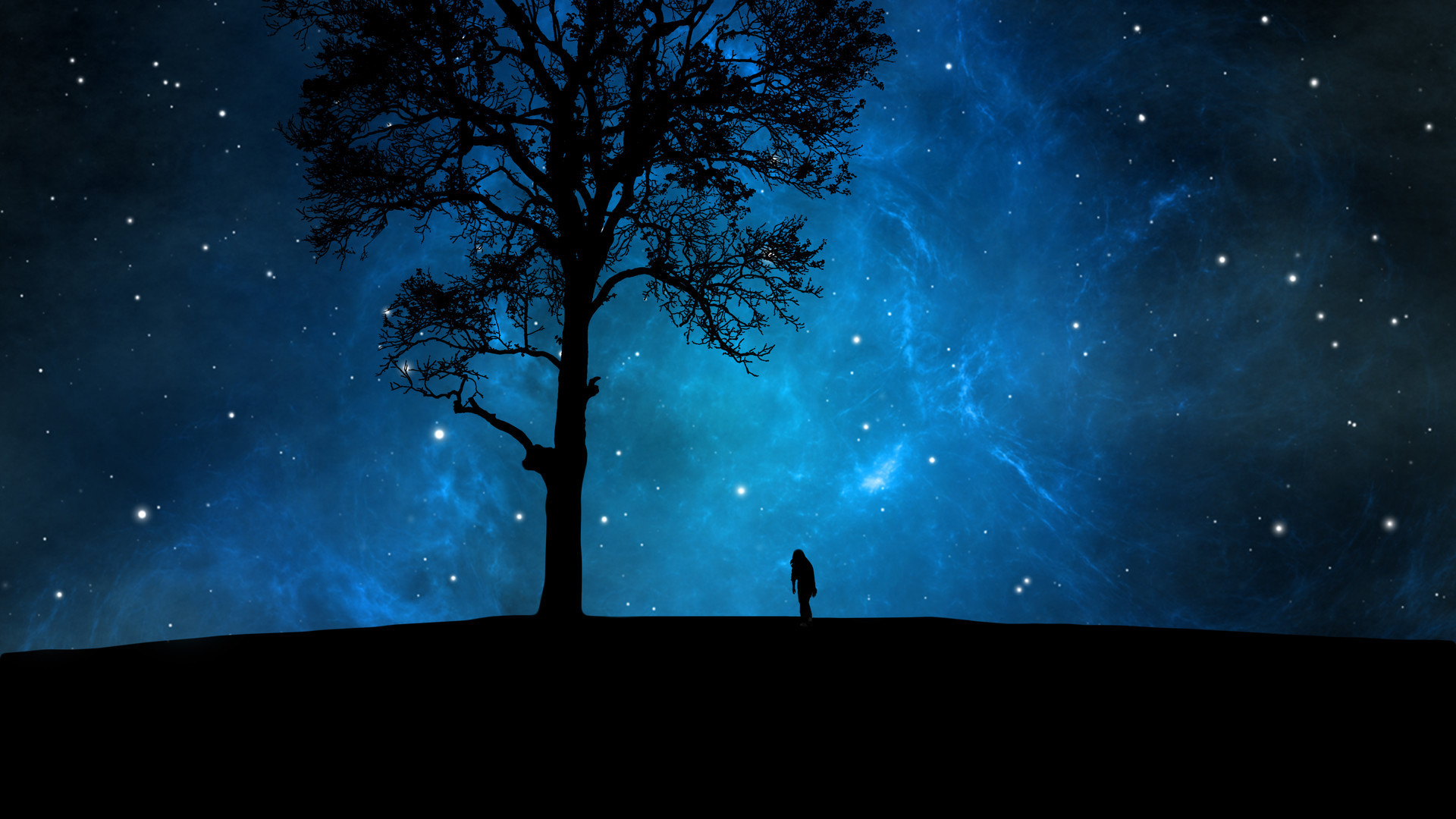 风景   星空   树影 和谐美好   宽屏