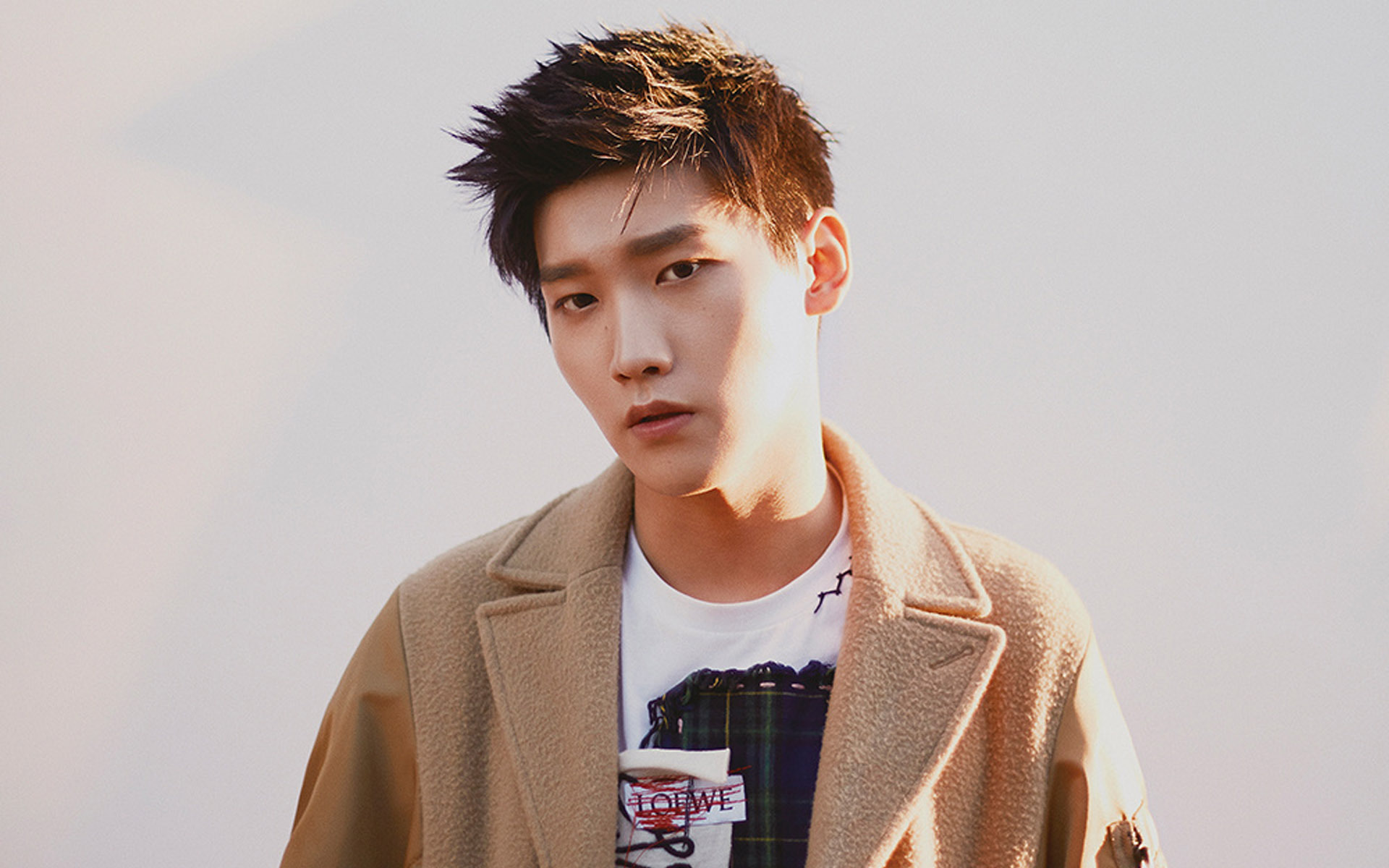 内地明星 邢昭林