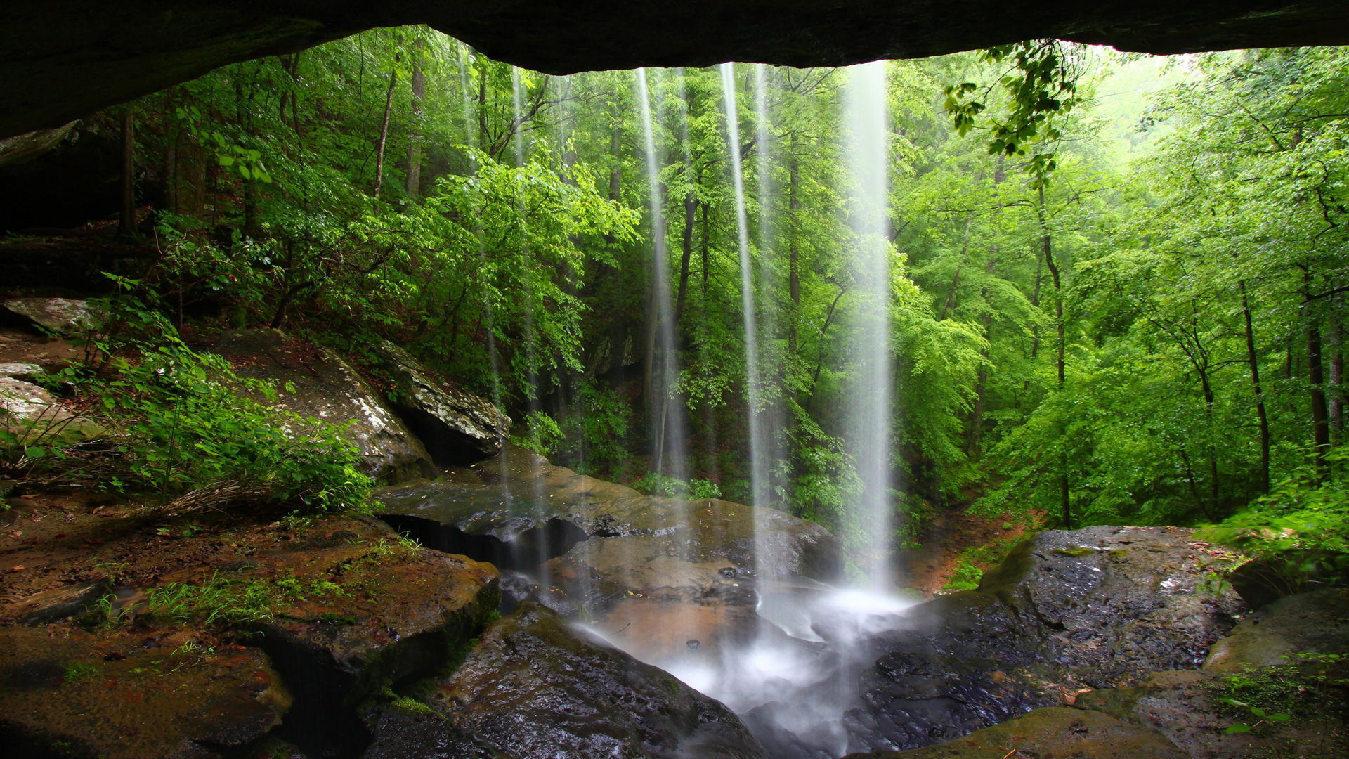 瀑布 森林 风景