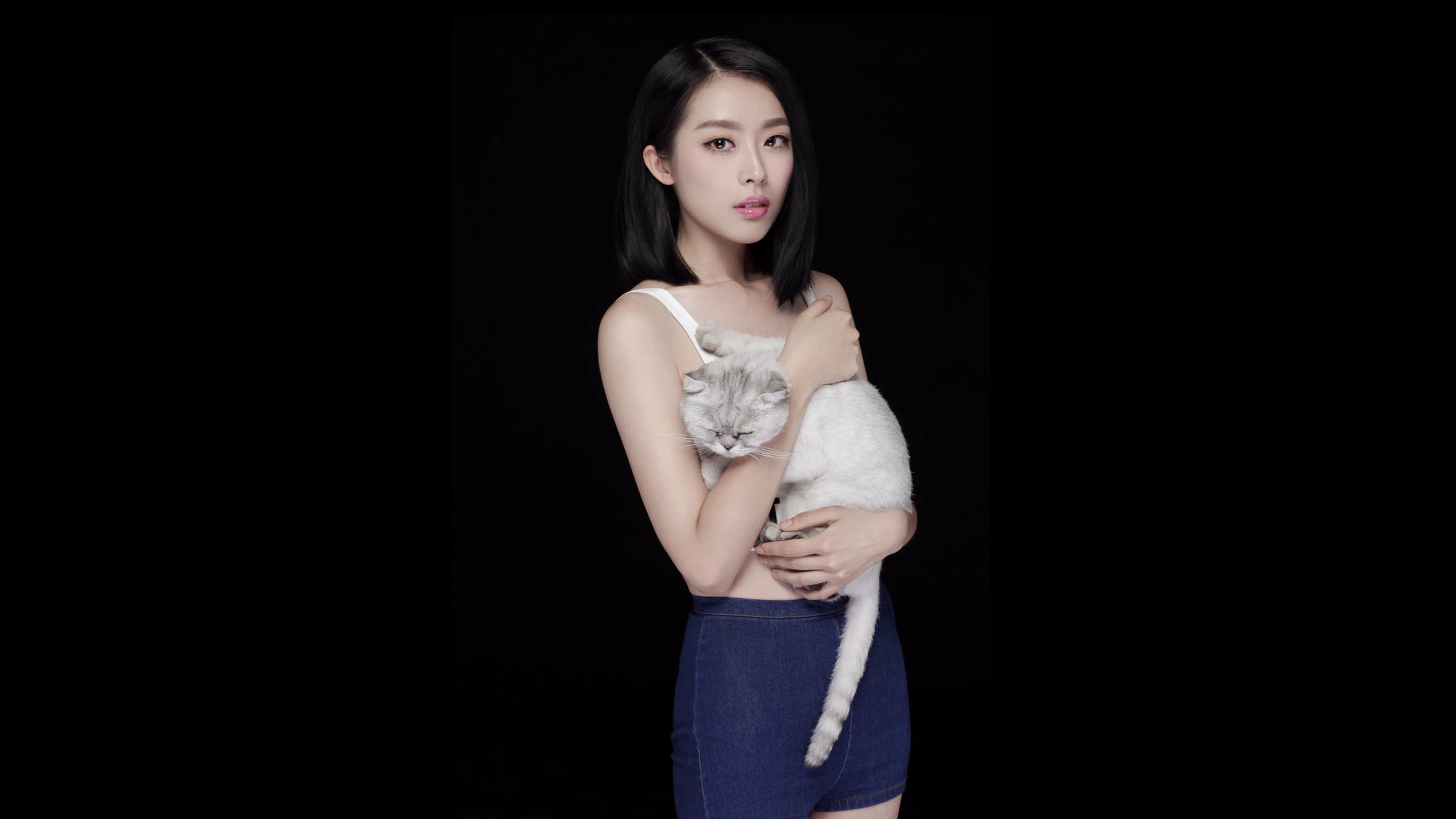 美女 猫咪