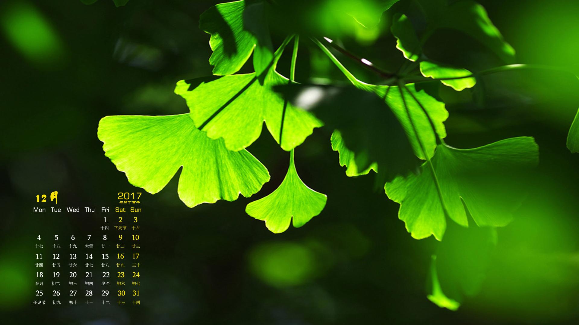 月历 风景 银杏